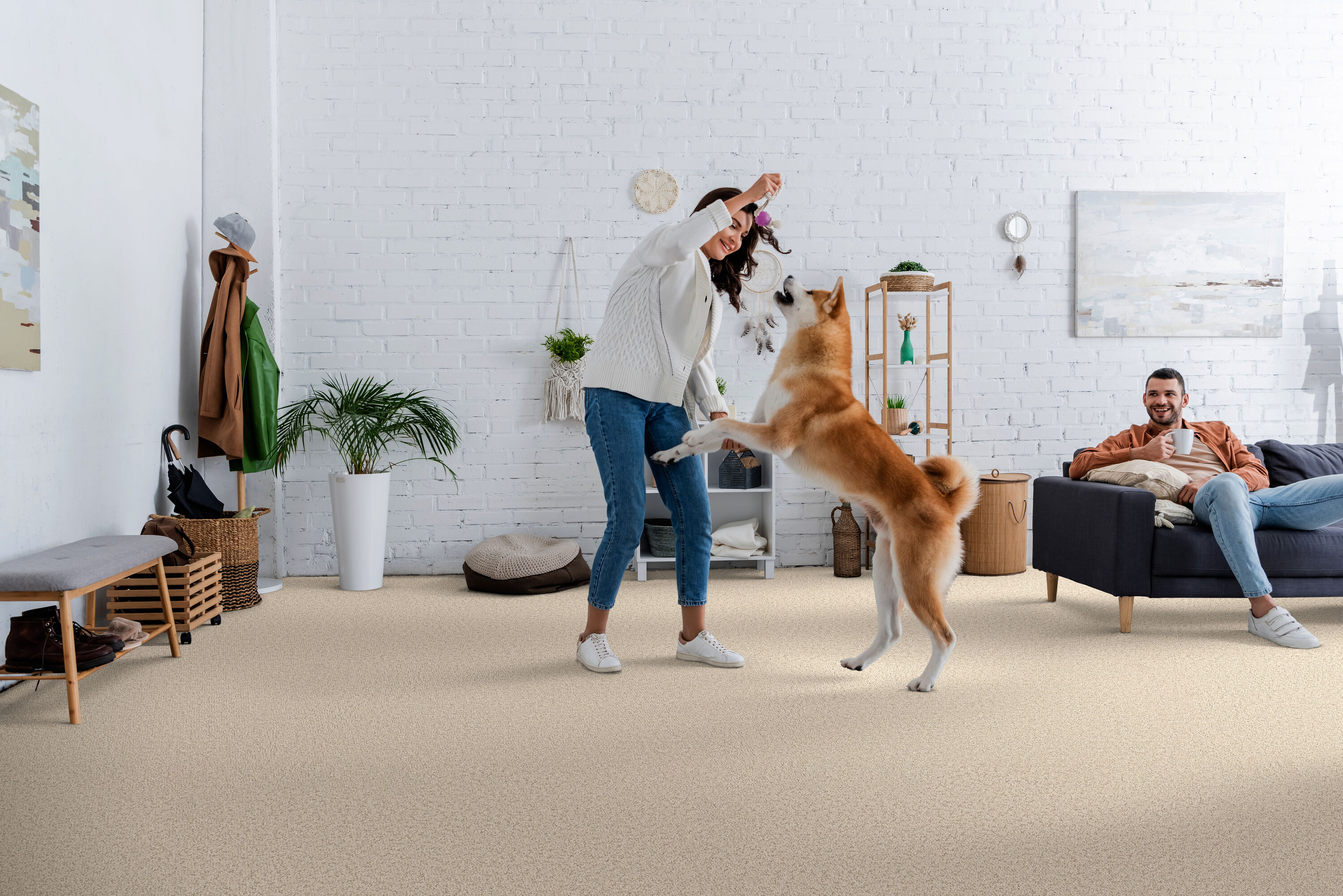 STAINMASTER PetProtect 7L884 - 104 - SAMP Carpet-Samples - View #3