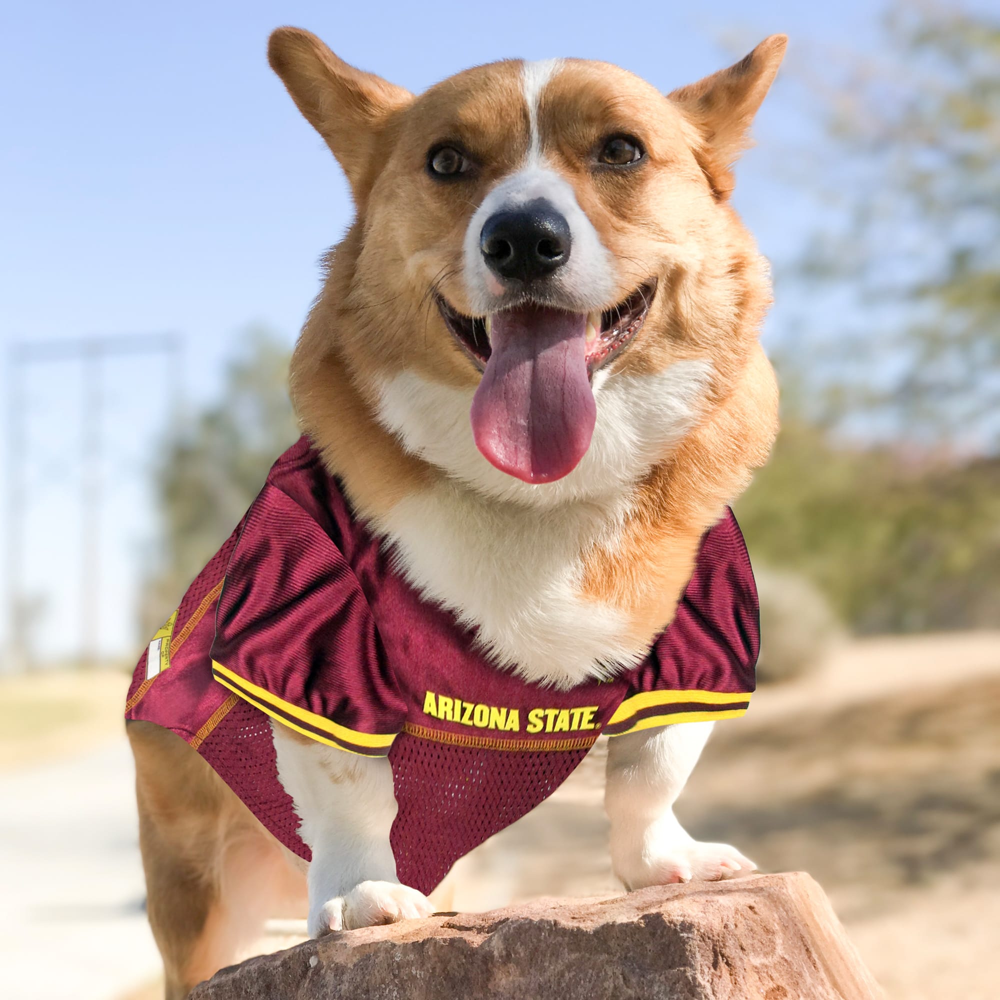 Pets First ASU-4006-XXL Dog-Clothing-Acc - View #3