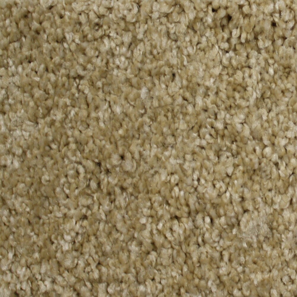 STAINMASTER 51340-102-1200-AB Notorious Eldorado Brown 36-oz sq yard Polyester Textured Indoor Carpet