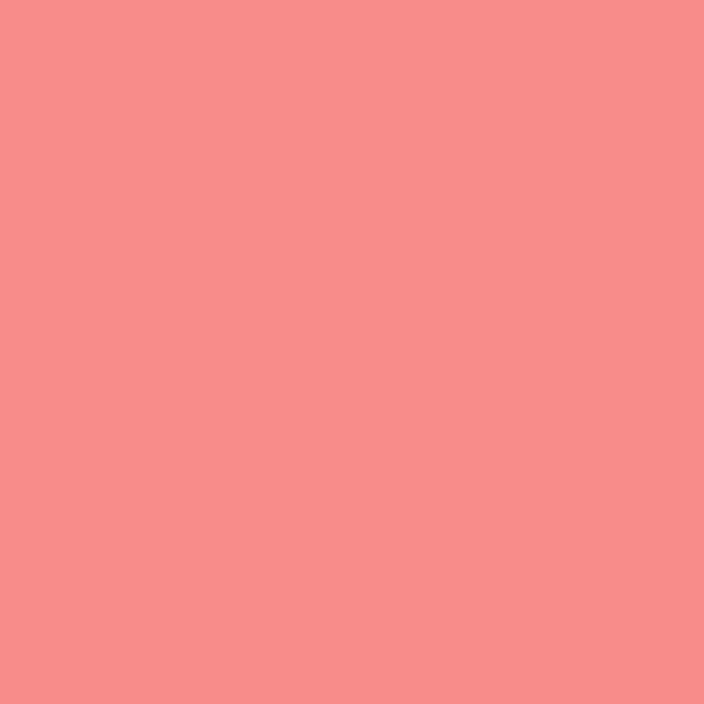 Testors 297479SOS Chalky-Paint - View #2