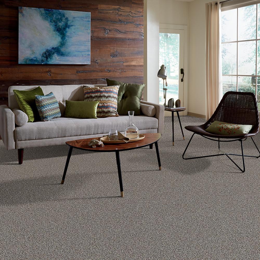 STAINMASTER 7L71600200 Carpet-Panel - View #5