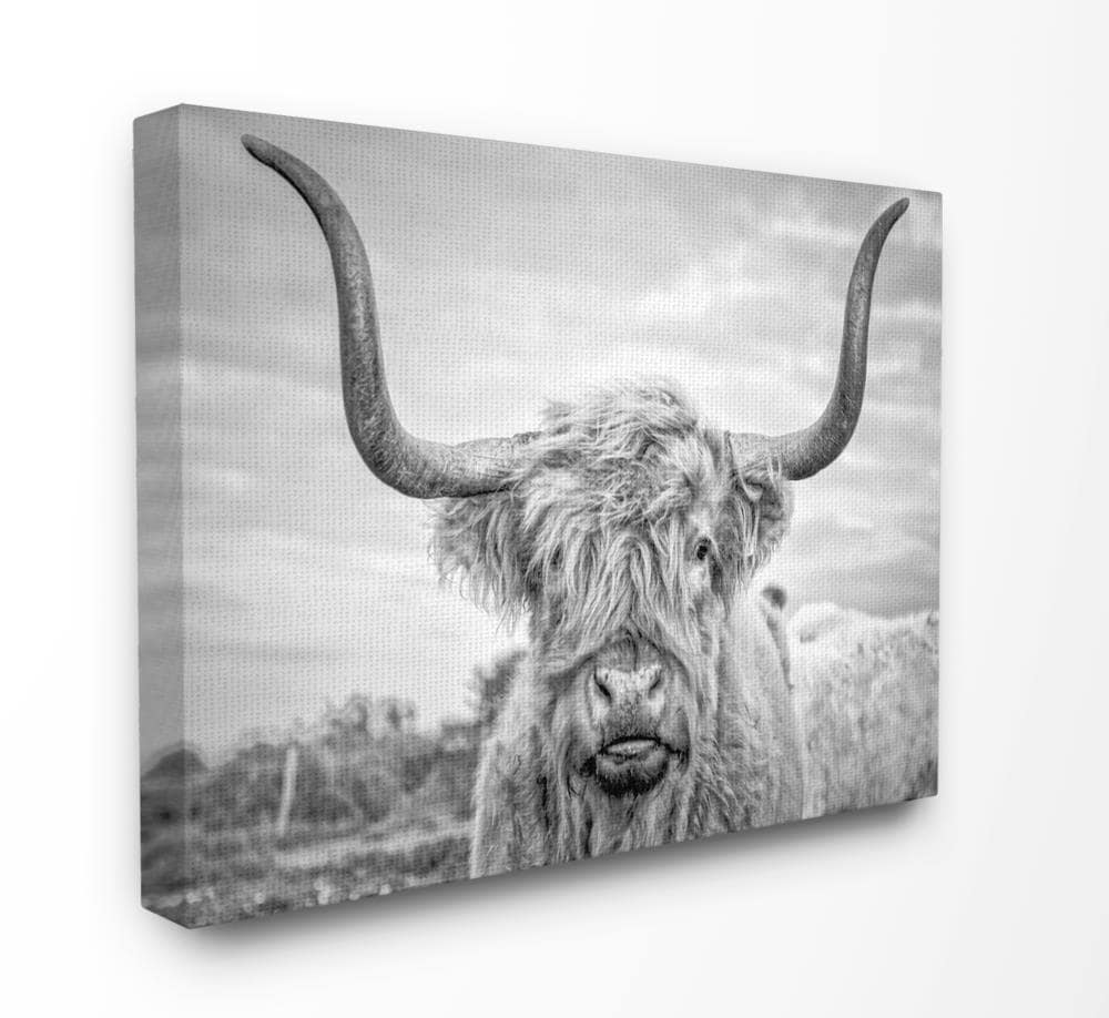 Stupell Industries AAP-154-CN-30X40 Black and White Highland Cow Photograph Joe Reynolds Gallery Wrapped Canvas 40-in H x 30-in W Animals Canvas Print