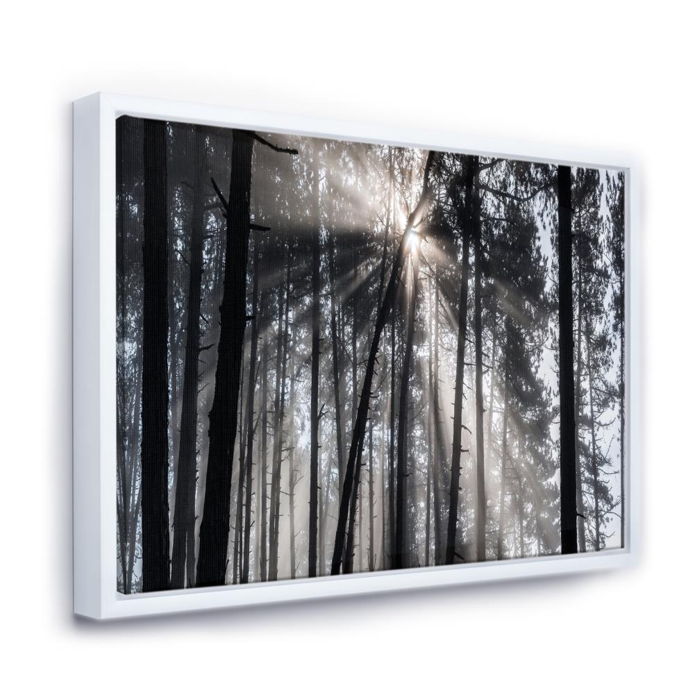 Designart Wood Floater Frame 32-in H x 42-in W Landscape Print on ...