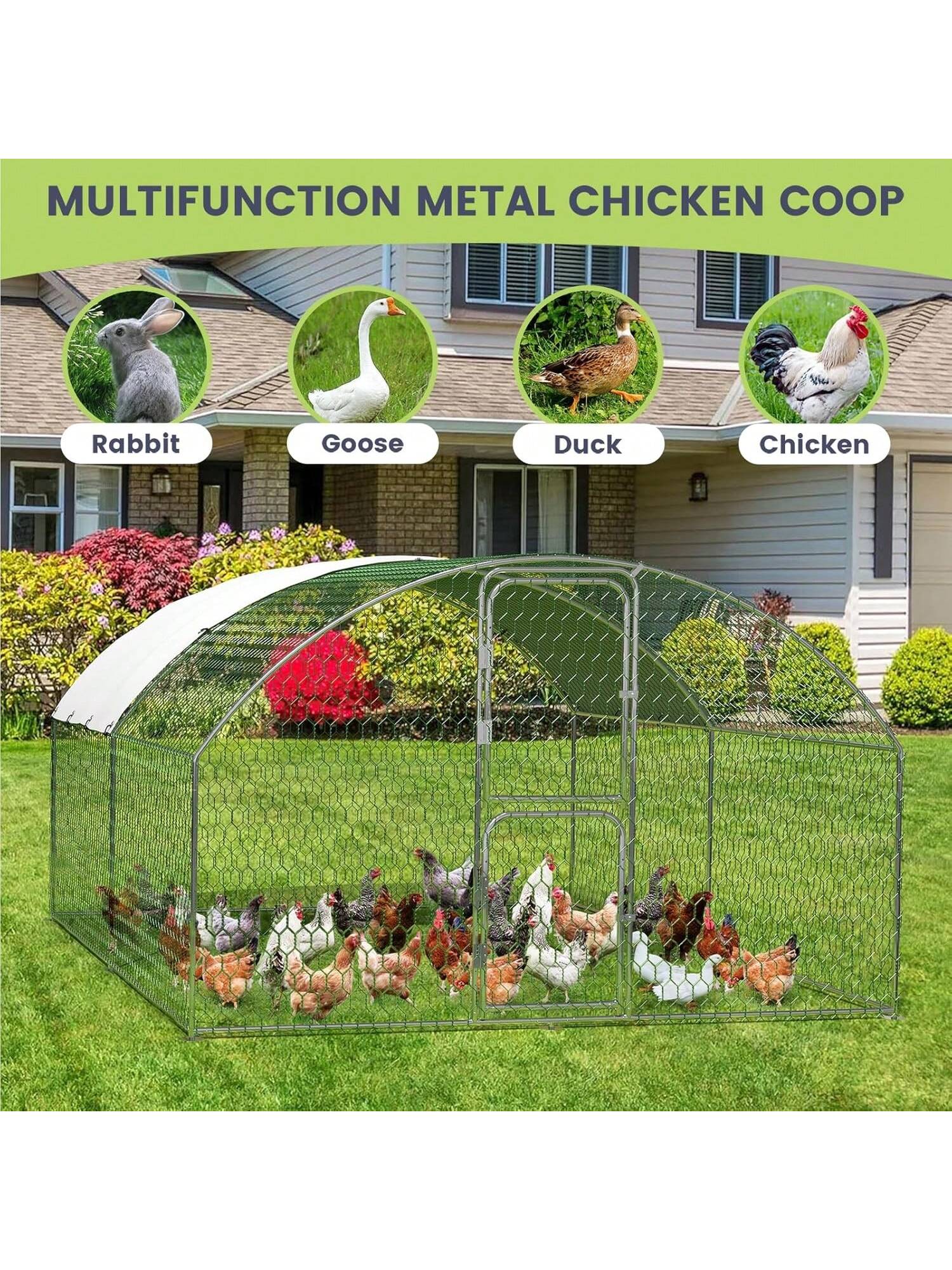 WhizMax BY02-PPG-333L5S8X Chicken-Coops-Rabbit-Hutches - View #4
