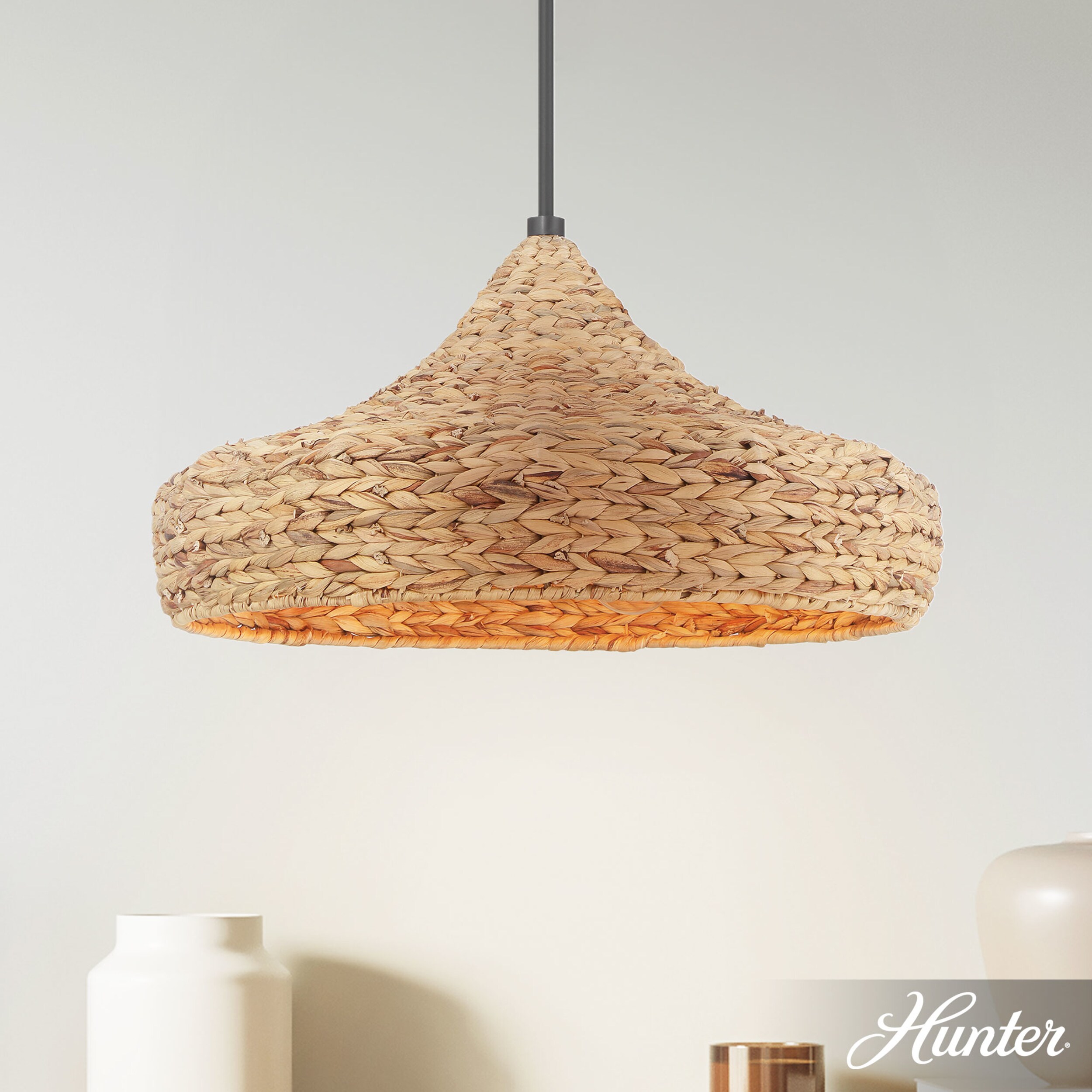 Hunter 49030 Pendant-Lights - View #3