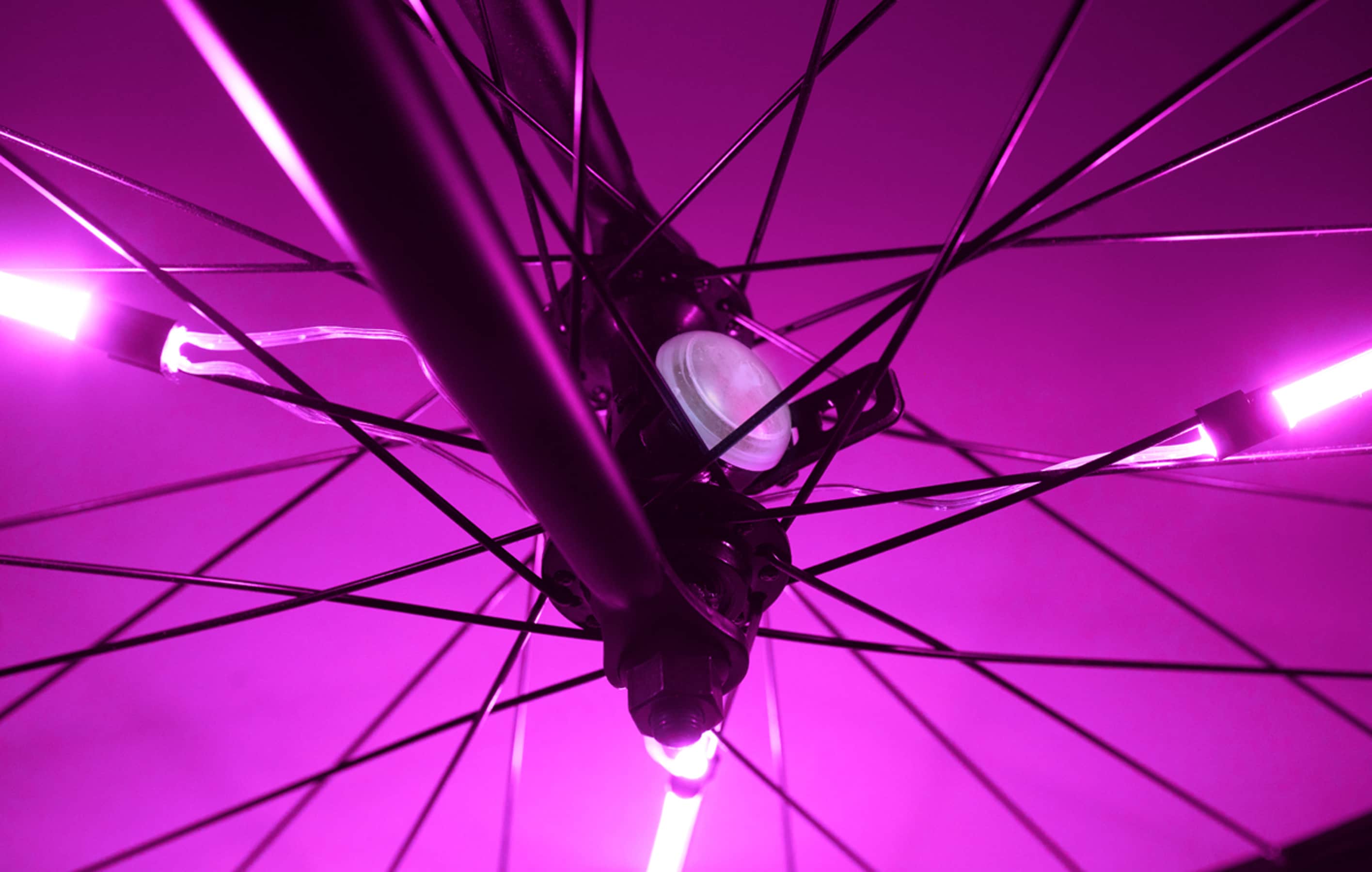 Brightz Spin Kids' Spoke Tubes LED Light - Pink