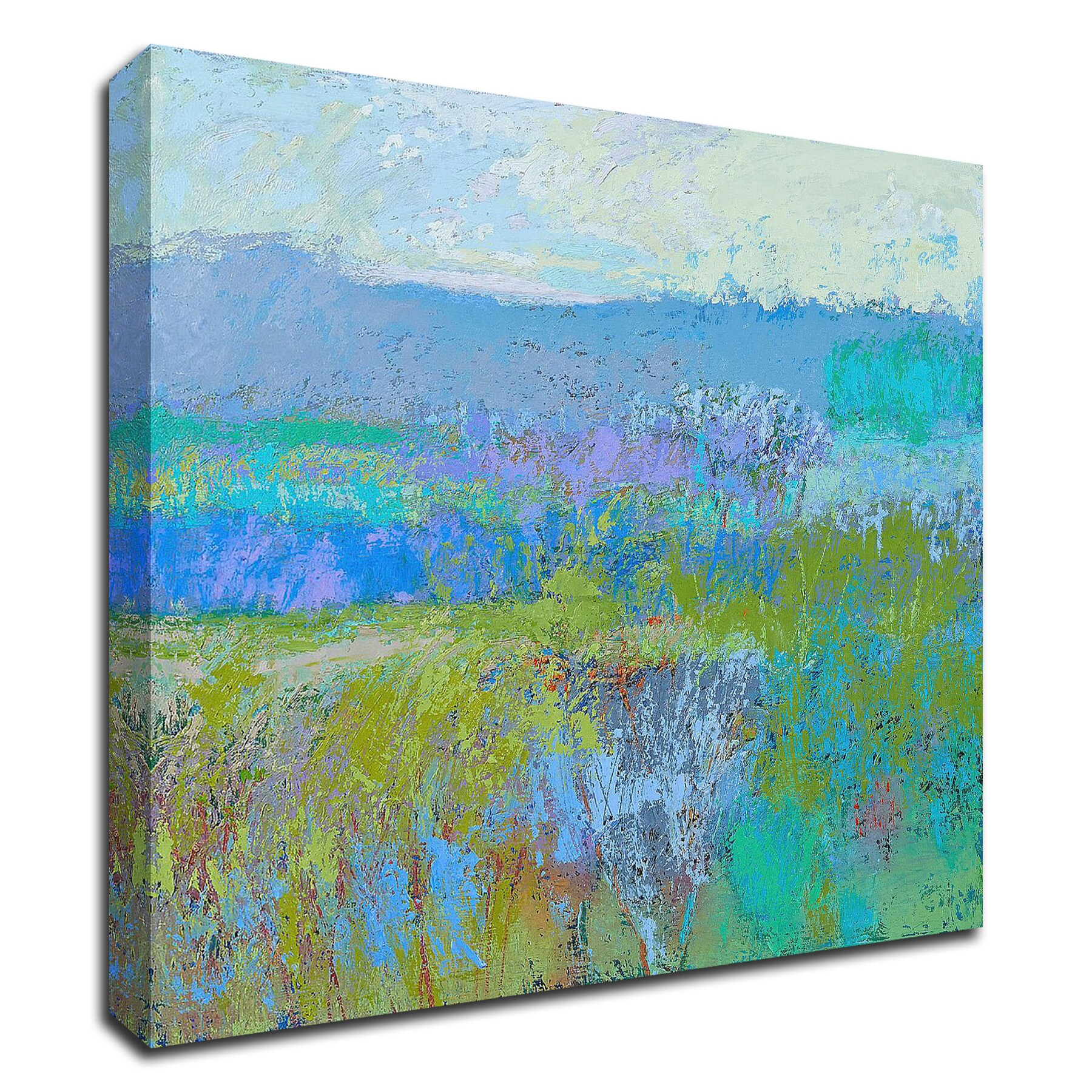 Tangletown Fine Art 24-in H x 24-in W Landscape Print on Canvas in the ...