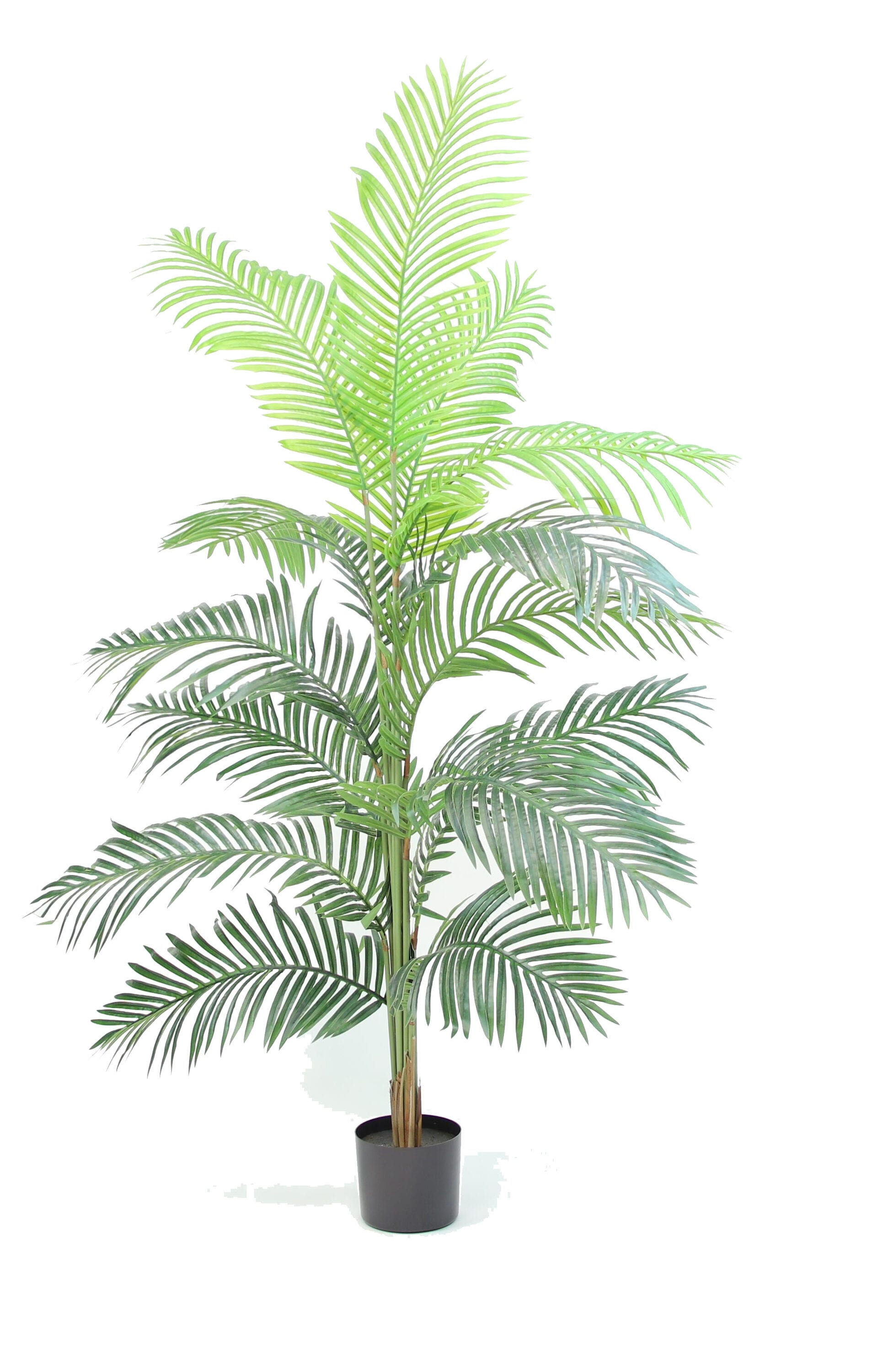 The Mod Greenhouse YPT01006 72-in Green Indoor Floor Areca Artificial tree