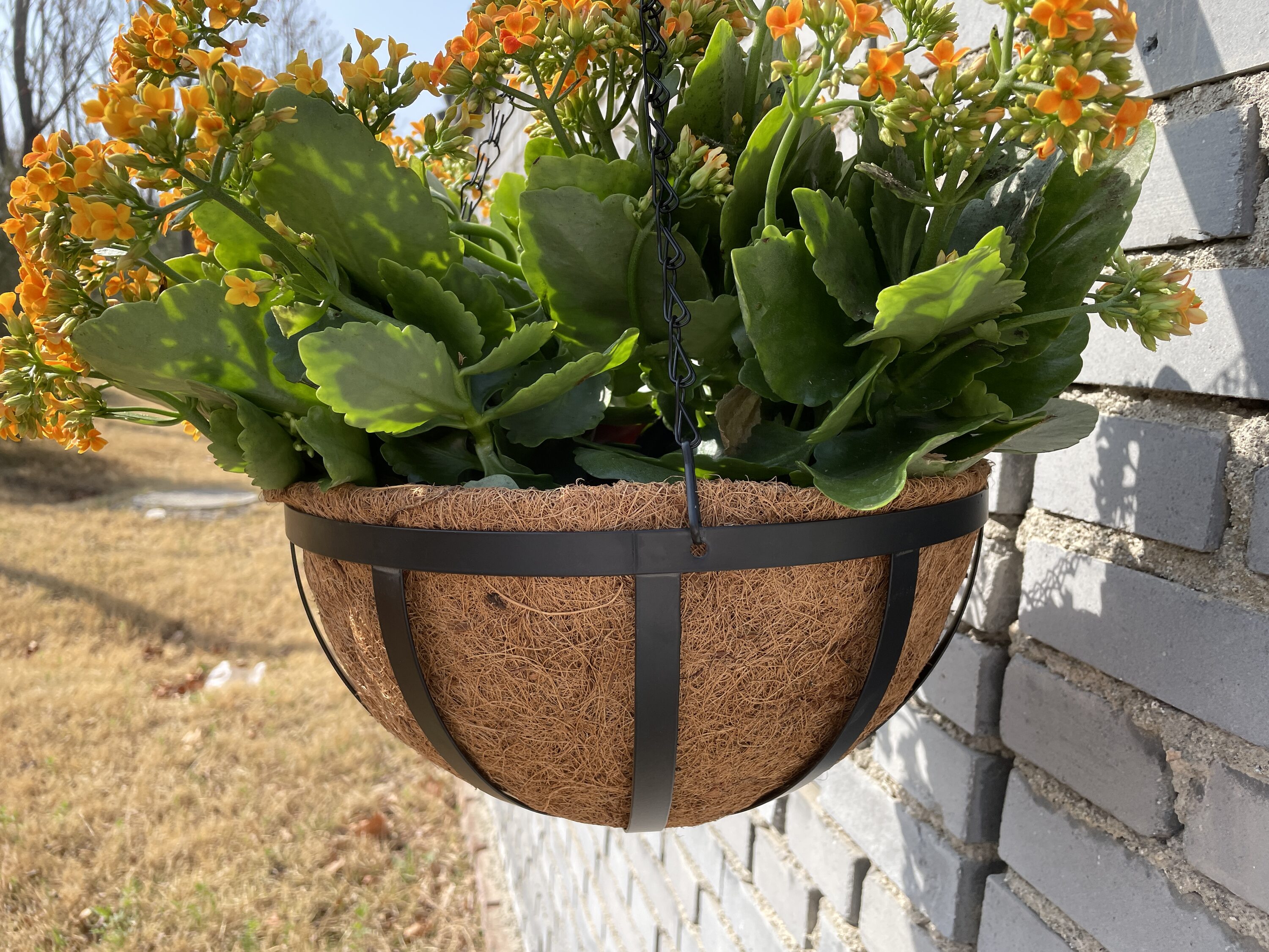 Style Selections LWO21-125 Planter-Window-Box - View #4