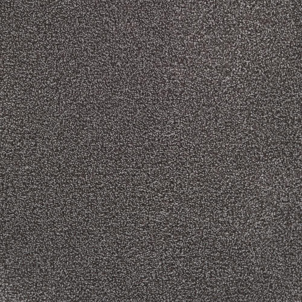 STAINMASTER DL014-115 LiveWell Music City Merit Textured Interior Carpet