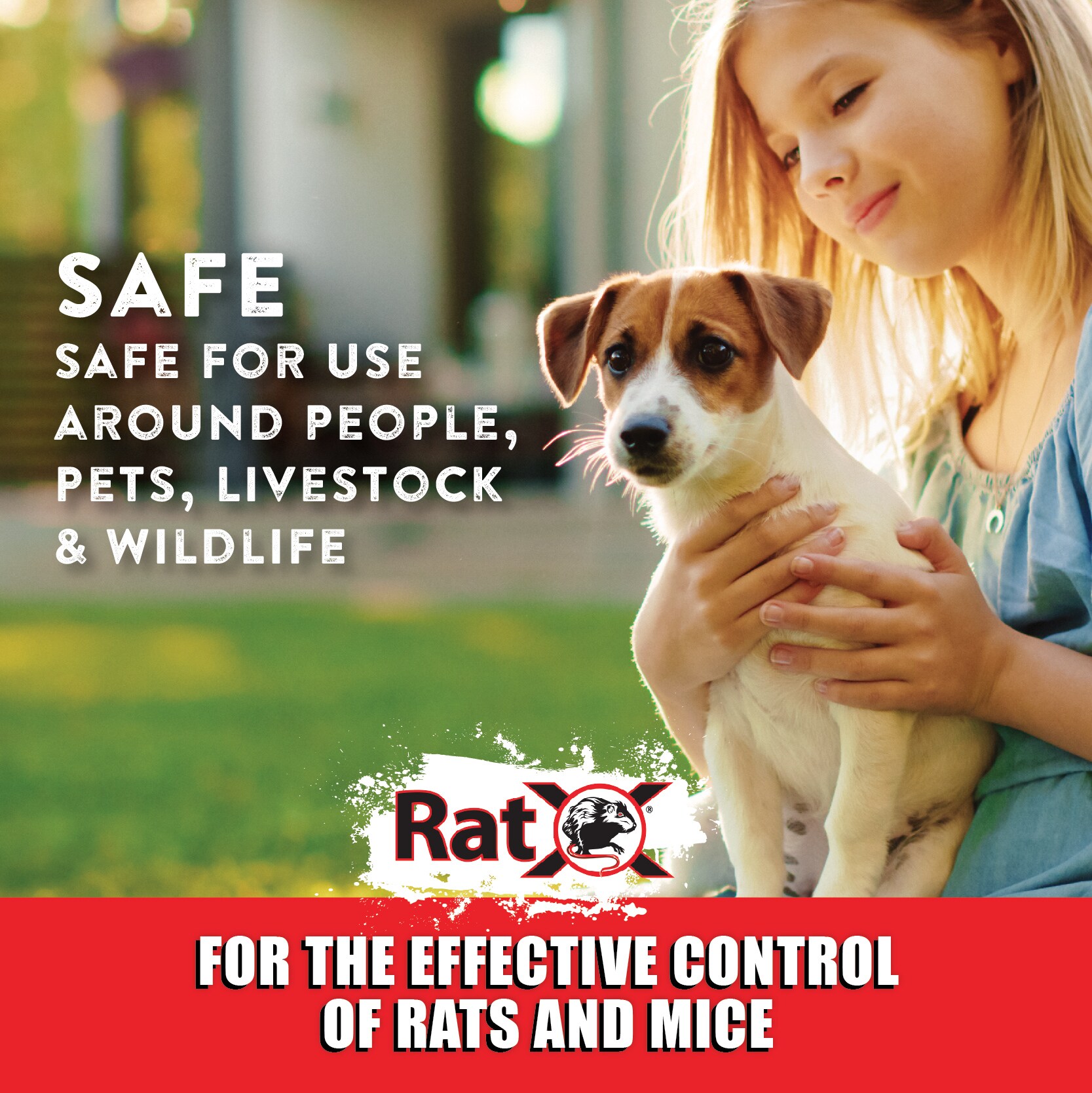 RatX Bait station Rat Killer in the Animal & Rodent Control