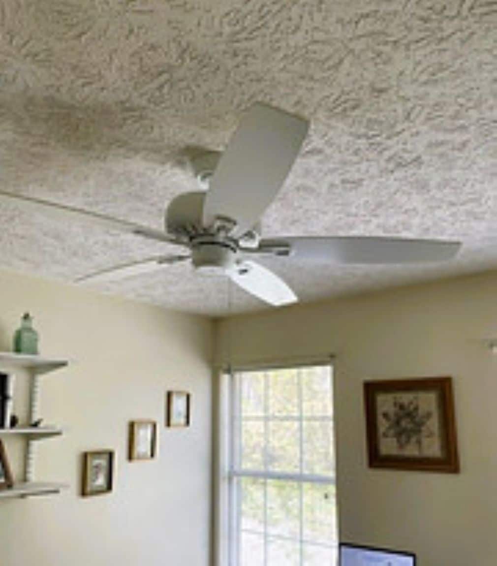 BLUE MOUNTAIN FANS 21902 Ceiling-Fans - View #8
