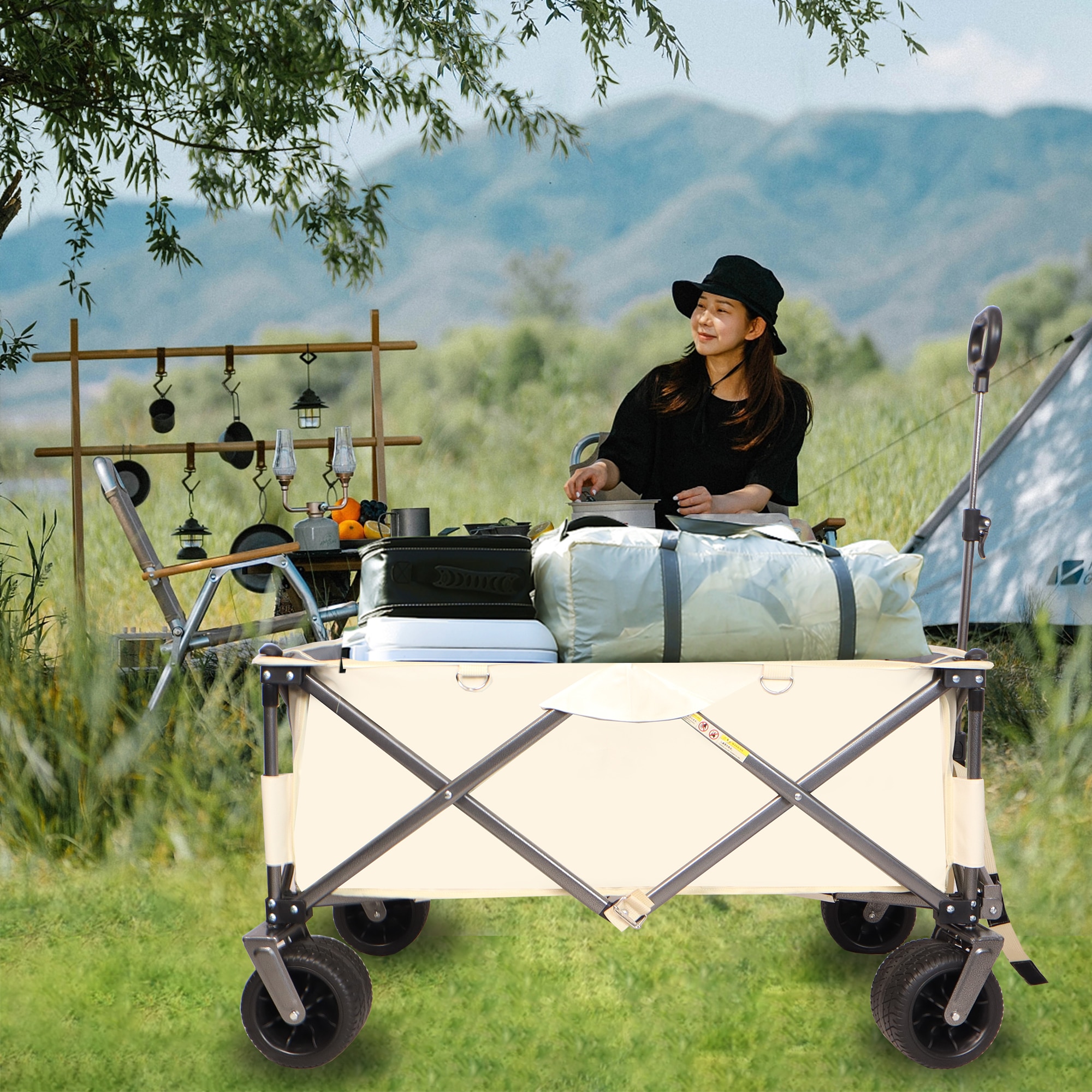 CESICIA FCOMS18G wheelbarrow - View #15