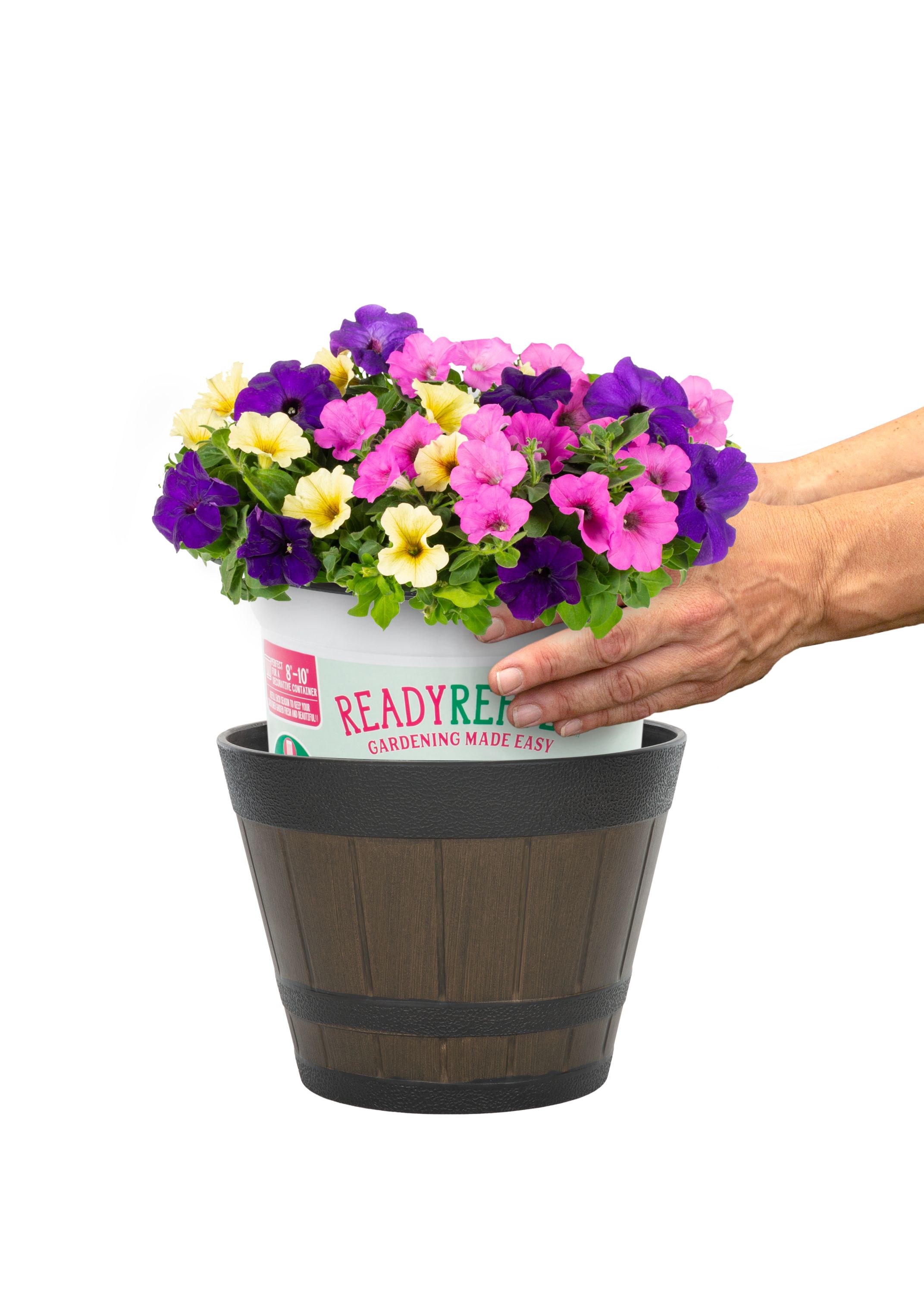 Ready Refill NURSERY annuals - View #3
