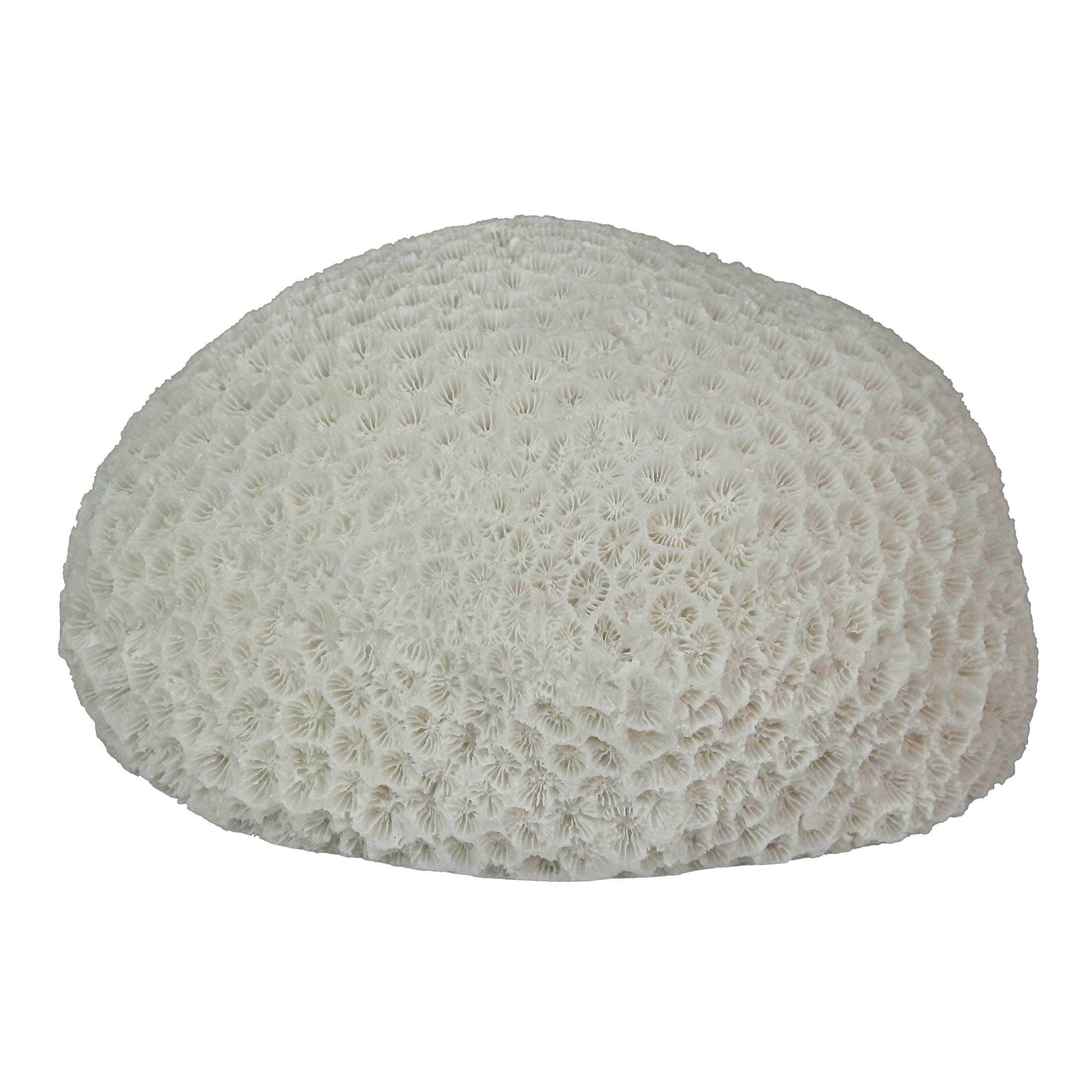Contrast CON-72122 6 Inch Resin LED Brain Coral Accent Lamp Decorative Sea Table Light Nautical Home Decor