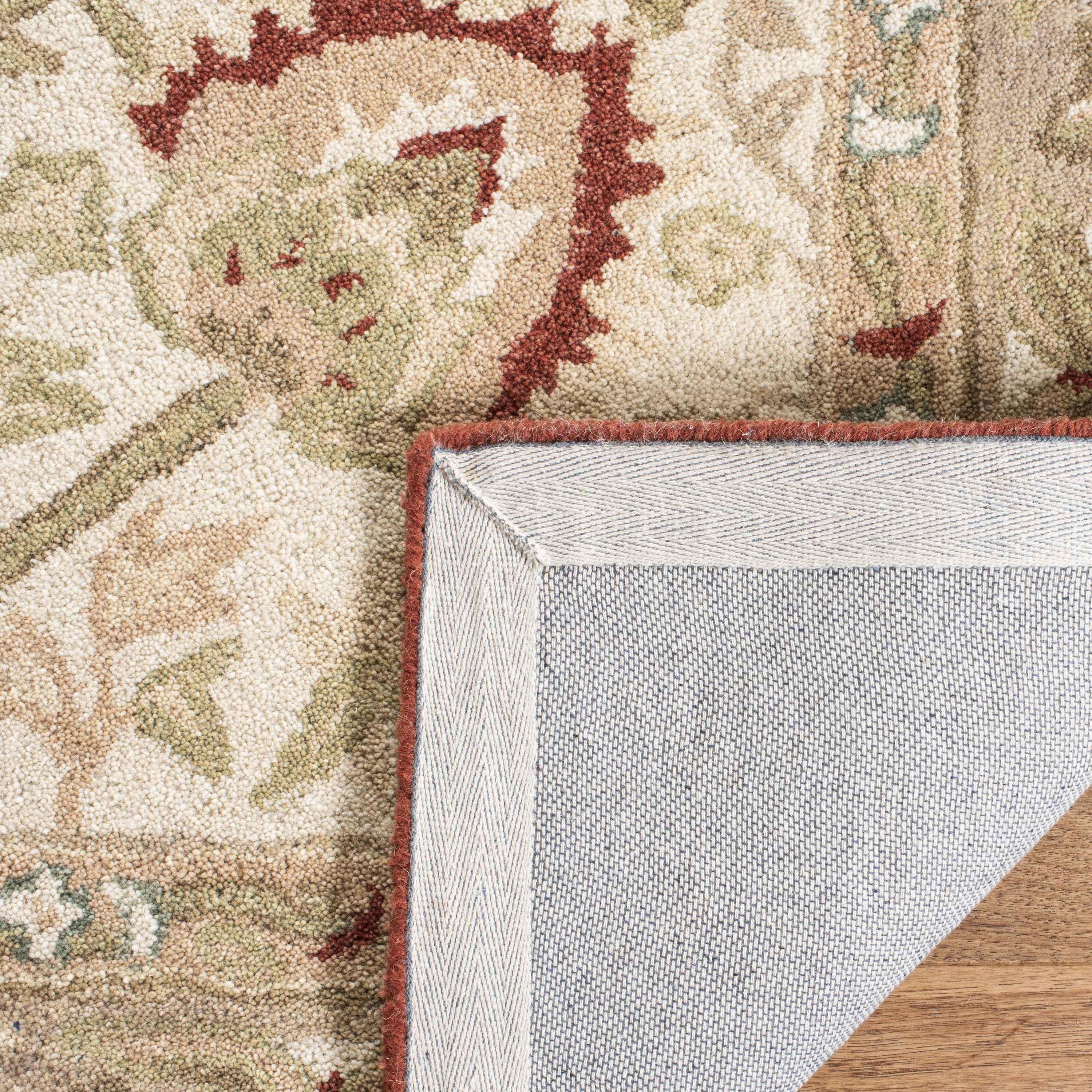 Safavieh AN512E-210 rugs - View #4