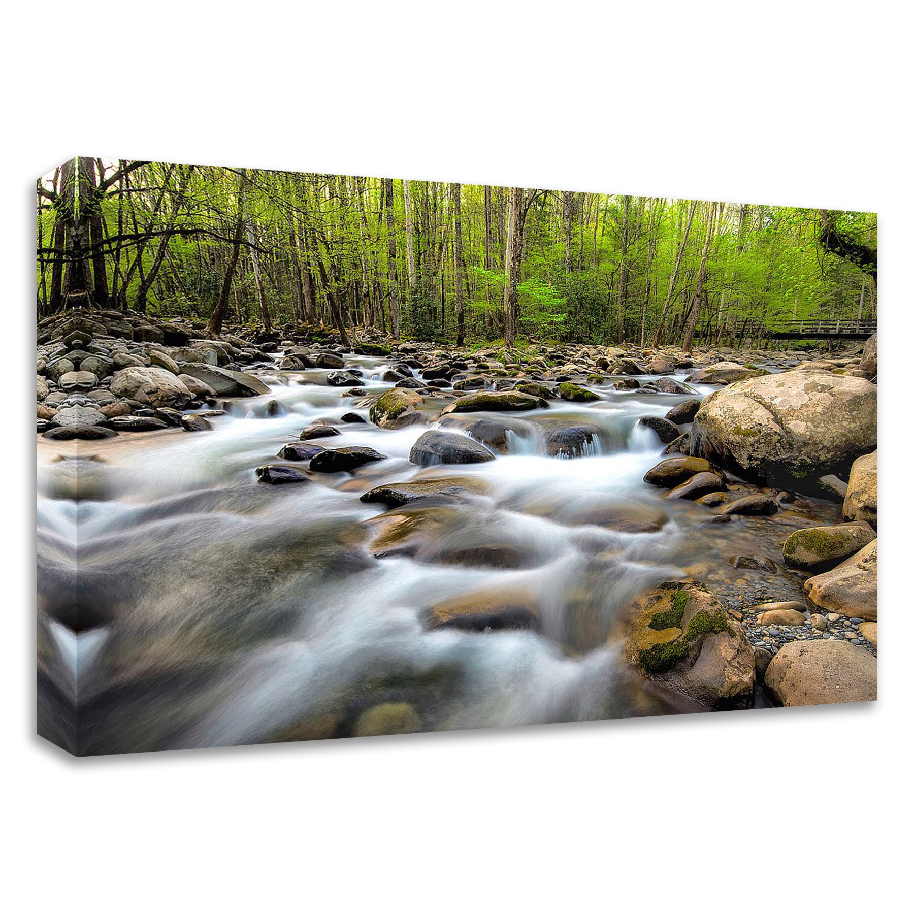 Tangletown Fine Art 8B3325DC-3624 Below The Bridge Daniel Burt 24-in H x 36-in W Photography Print on Canvas