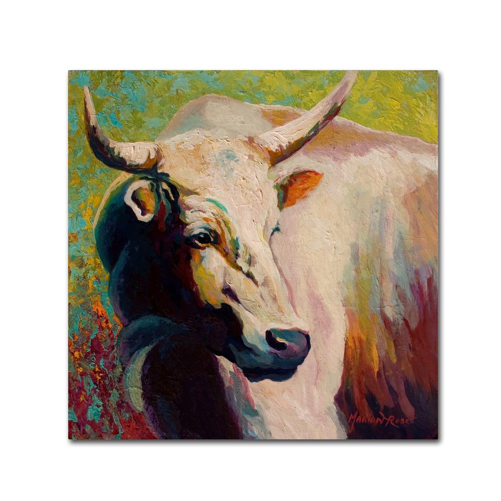 Trademark Fine Art ALI15384-C1818GG Framed 18-Inches H x 18-Inches W Animals Canvas Print