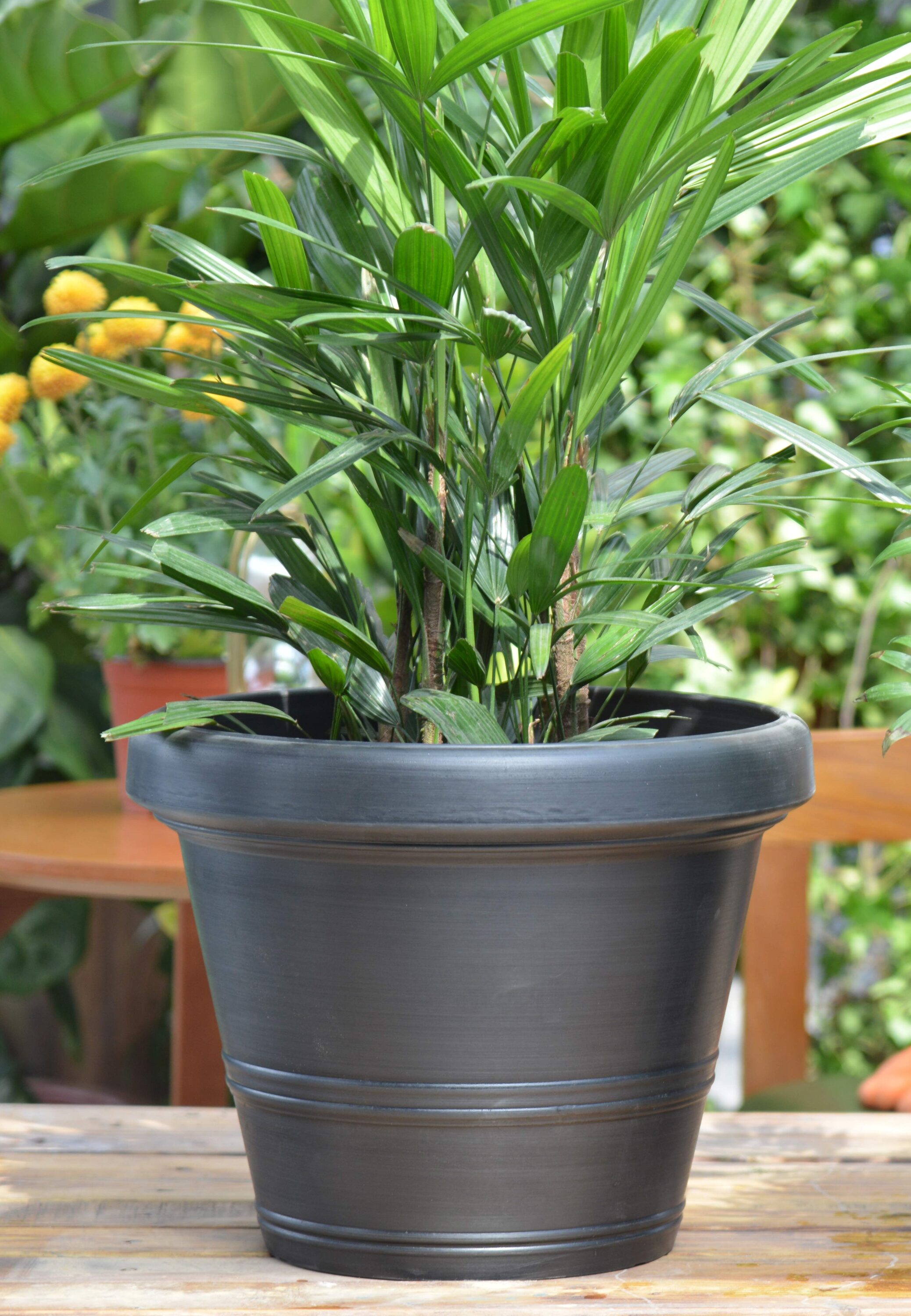 Greenship S-BLS30T-2 Planter-Window-Box - View #2