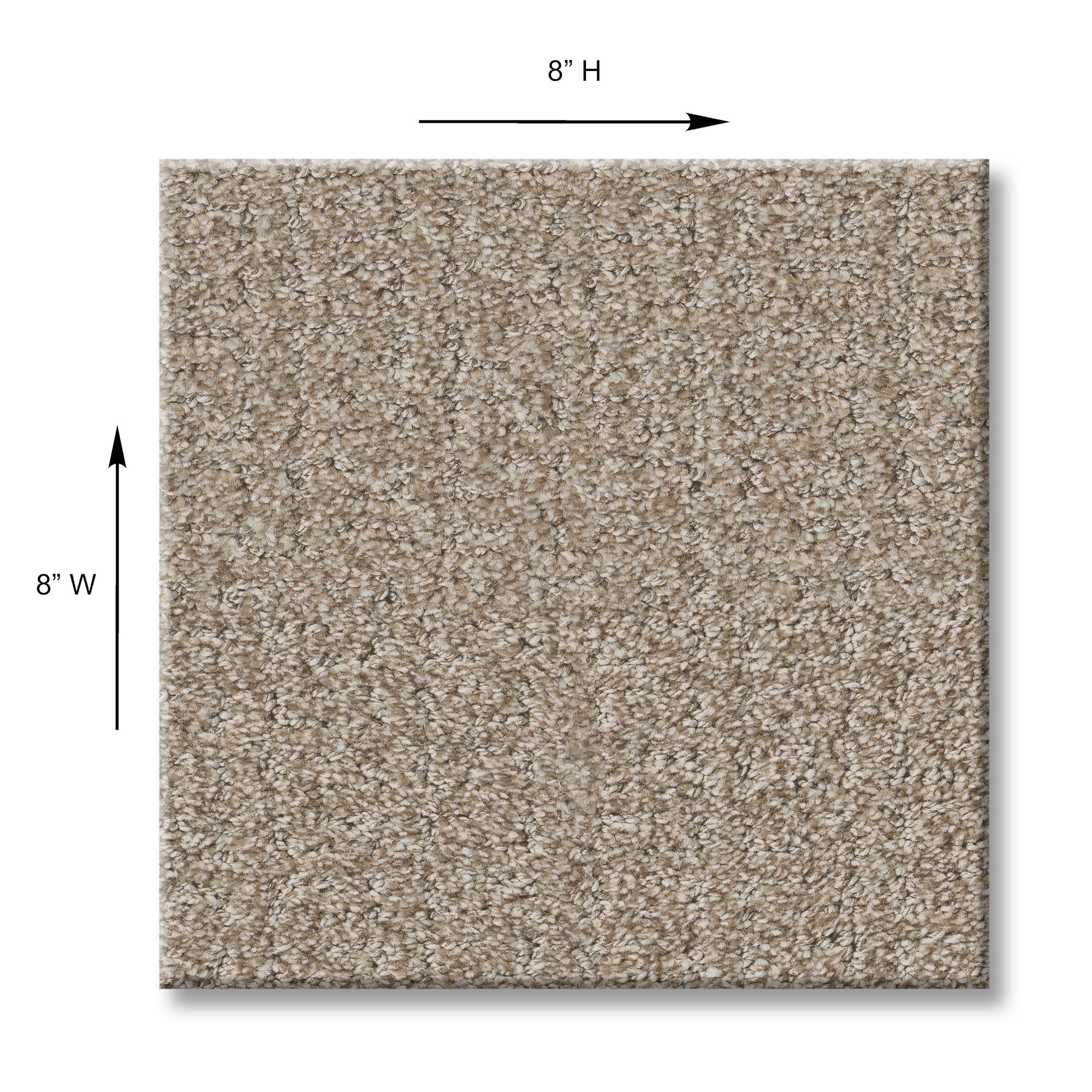 STAINMASTER PetProtect 7L928-137-SAMP Carpet-Samples - View #10