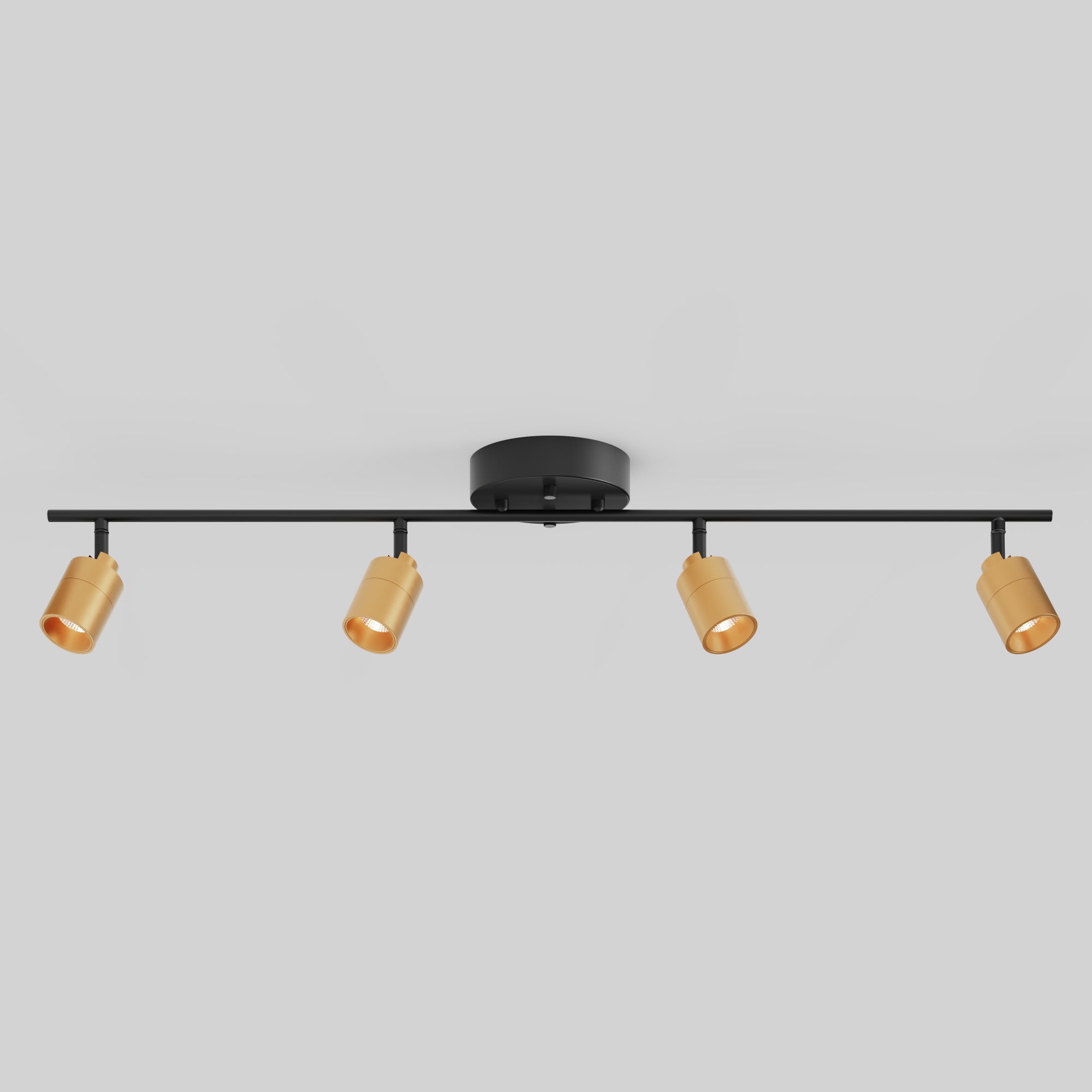 VidaLite - Shura 4 Head LED Track Light - Brass And Black at Lowes.com