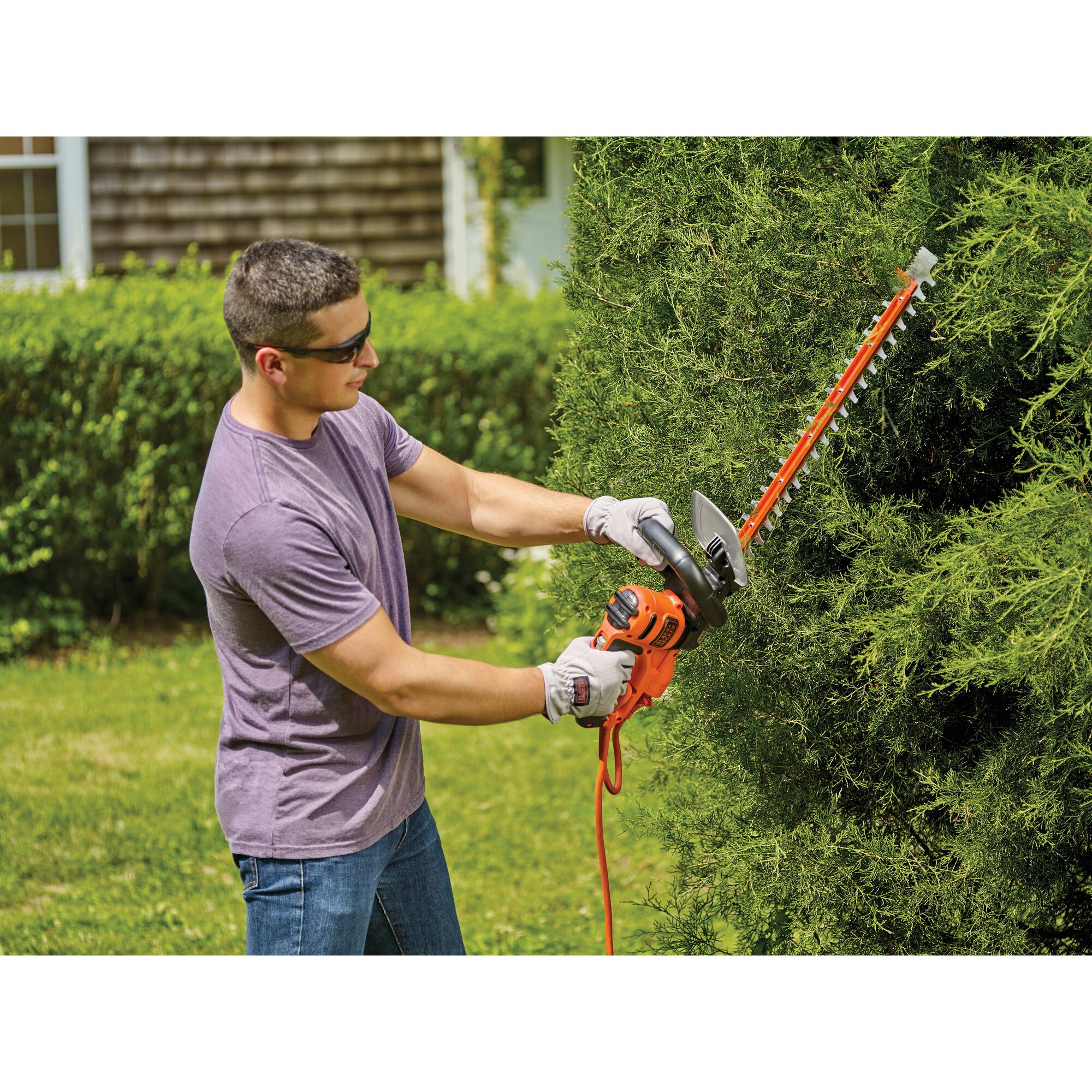 BLACK+DECKER HT22 4.0 Amp 22 Corded Hedge Trimmer 