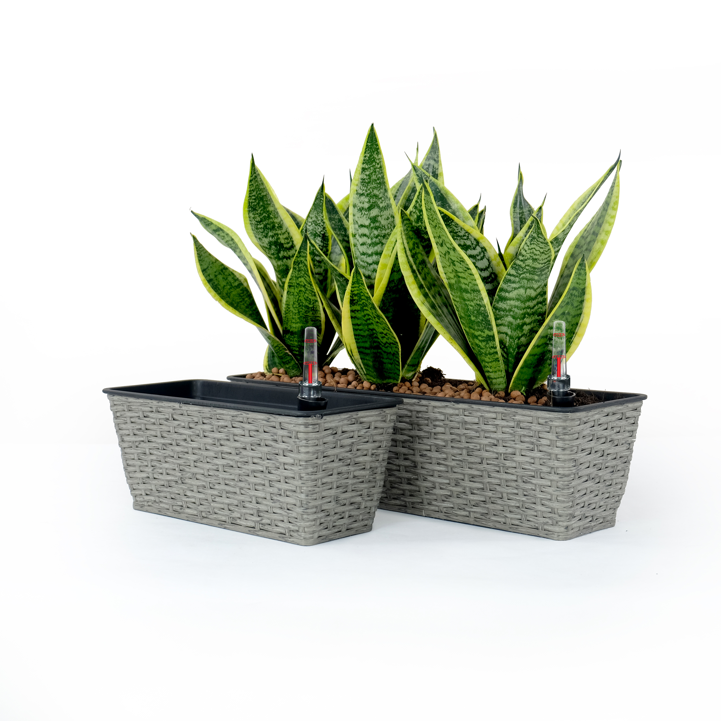 Kahomvis DTY-QPB0-634 Planter-Window-Box - View #2