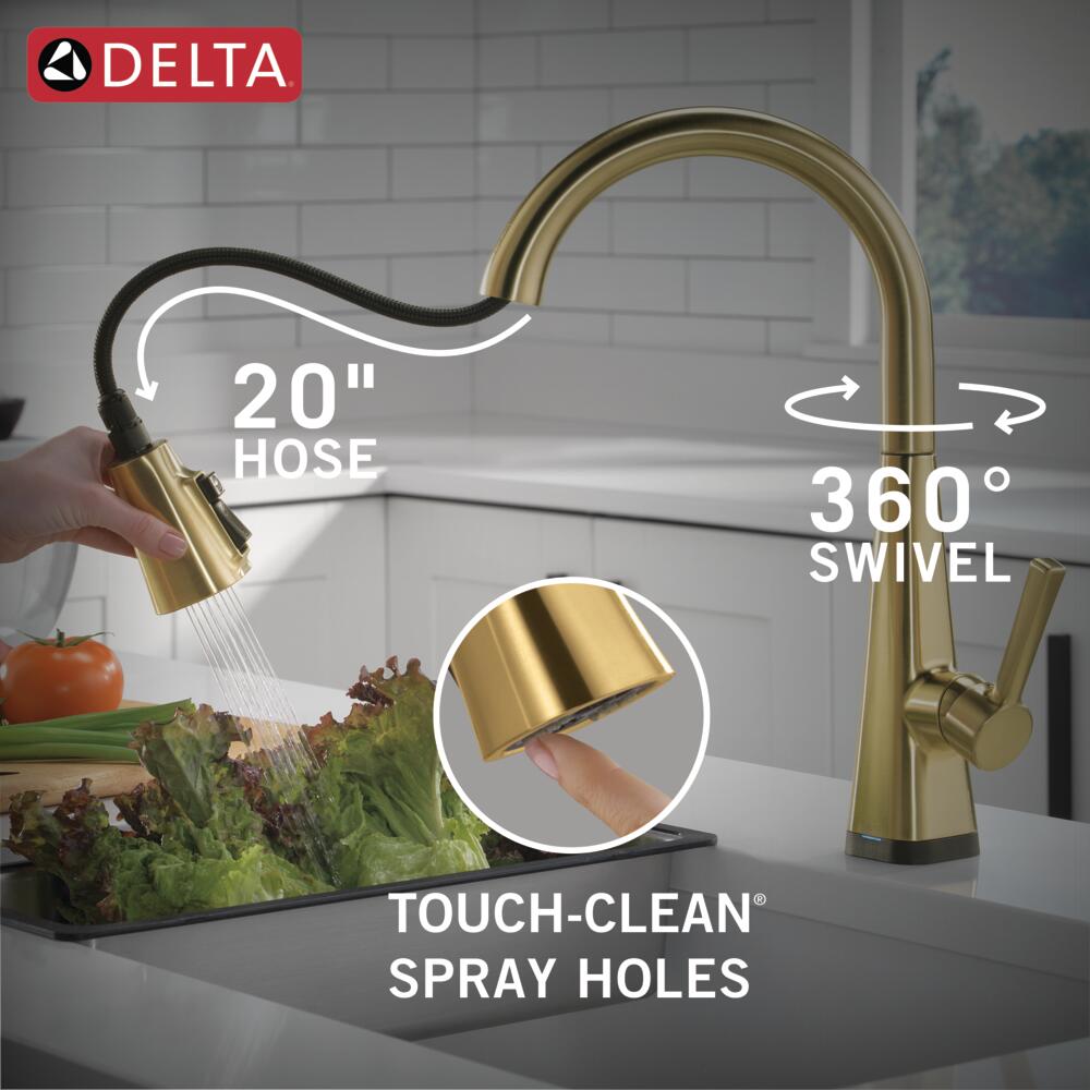 Delta 19802TZ-GB-DST Kitchen-Faucets - View #8