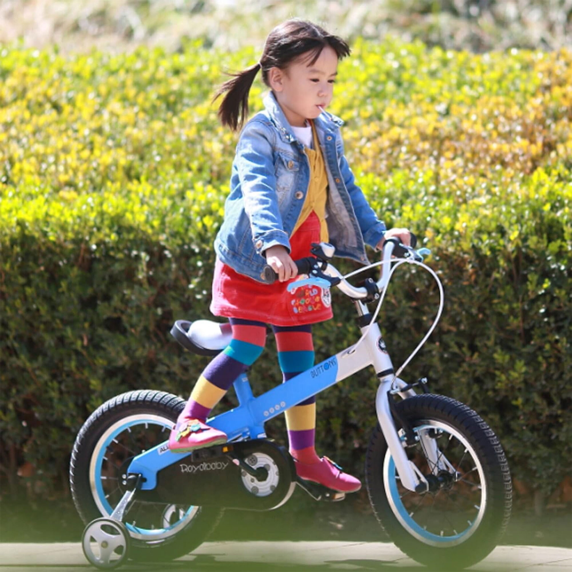 Royal Baby 324531 bikes - View #8