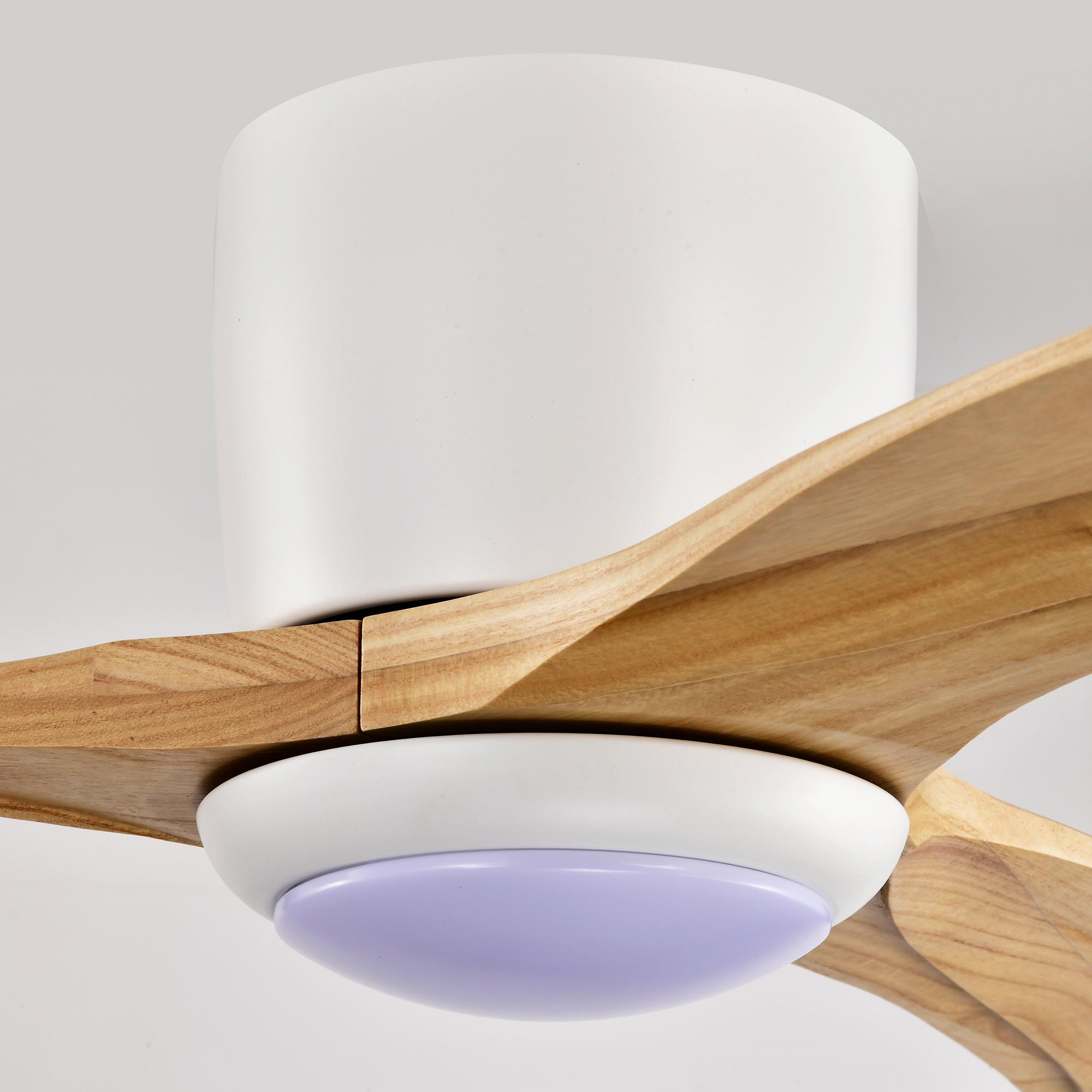 Bayfeve BF-419061-MP Ceiling-Fans - View #15