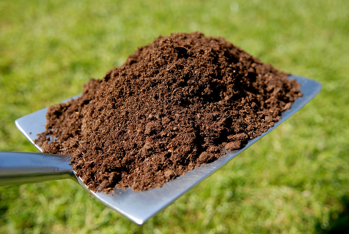 Forestry Resource Landscape S1TOP Garden-Soil-Soil-Amendments - View #2