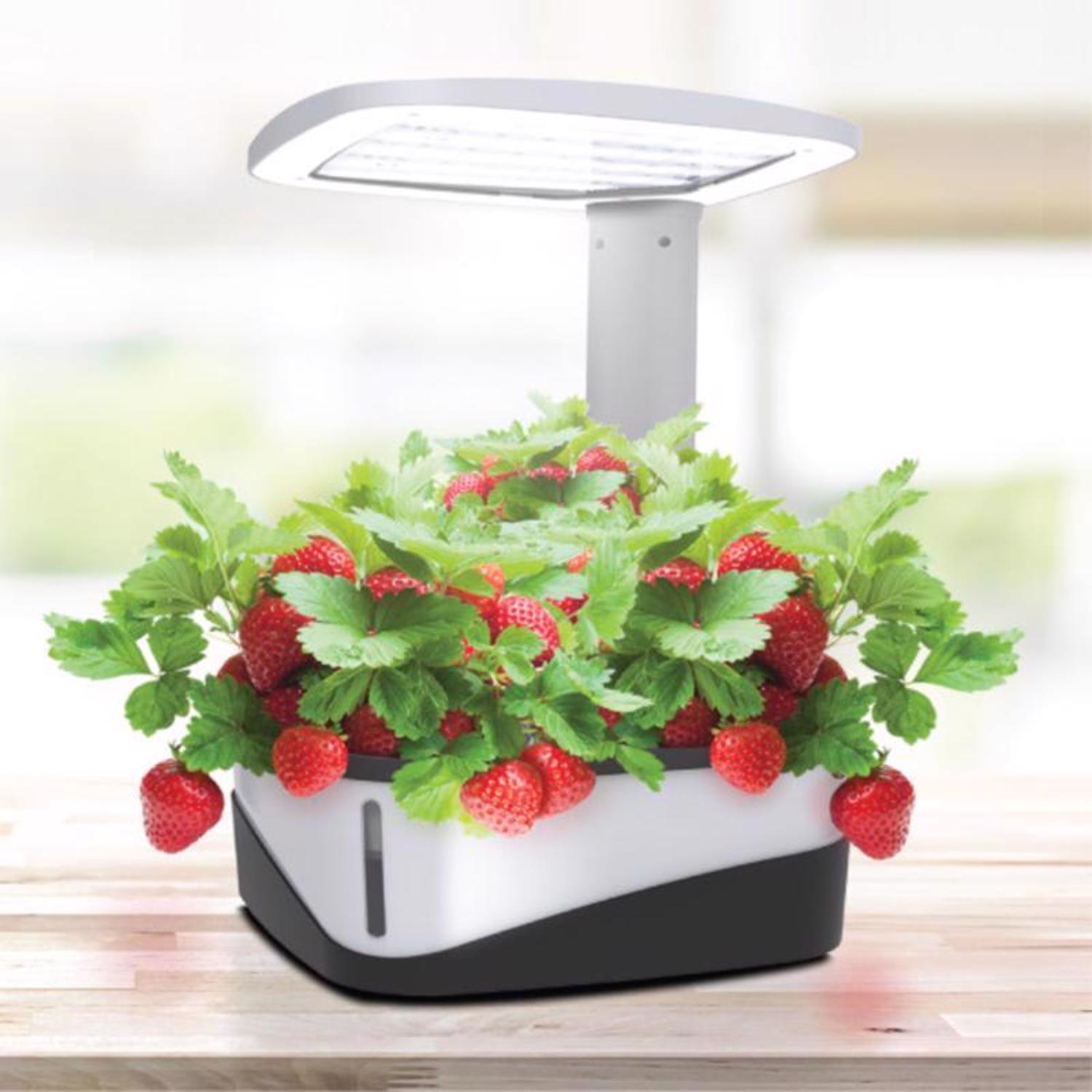 Feit Electric GLP20TABLE37LED Grow-Lights - View #3