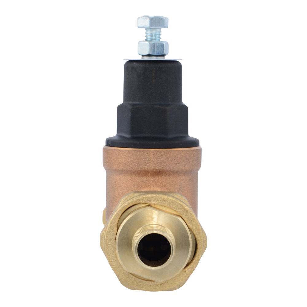 Cash Acme PVA16P-DUCR-60 Pressure-Relief-Valves-Regulators - View #2