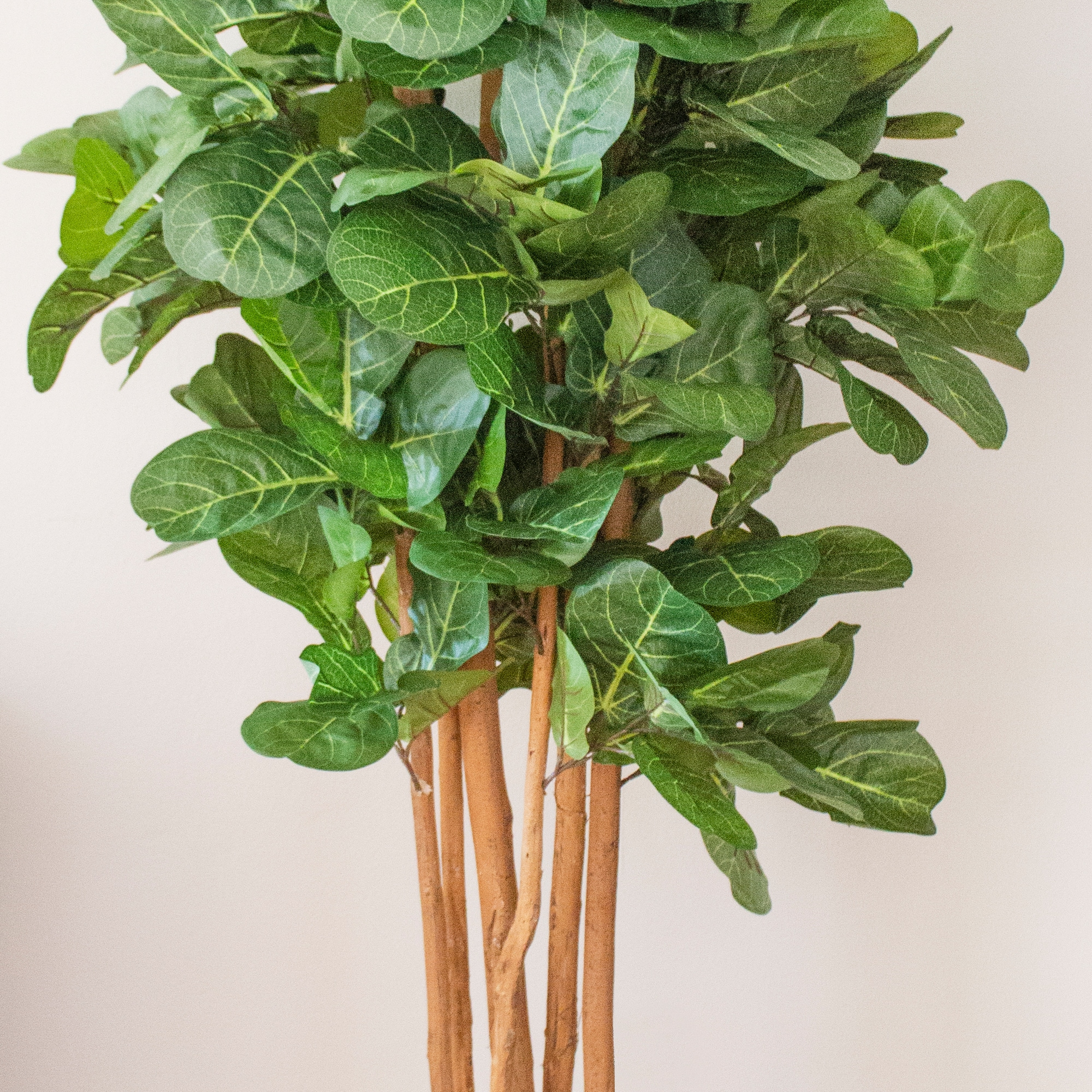 7' Tall Artificial Fiddle Leaf Fig Tree in Black Pot