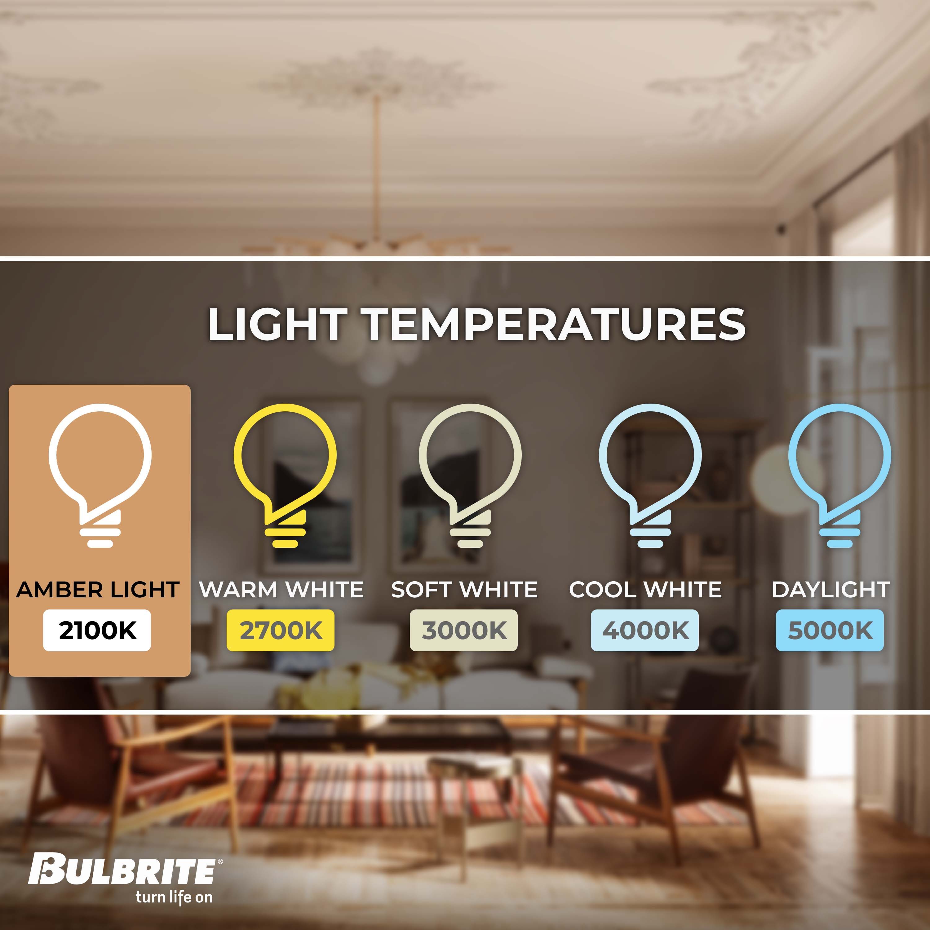 Bulbrite 862790 Dec-Led-Light-Bulbs - View #3