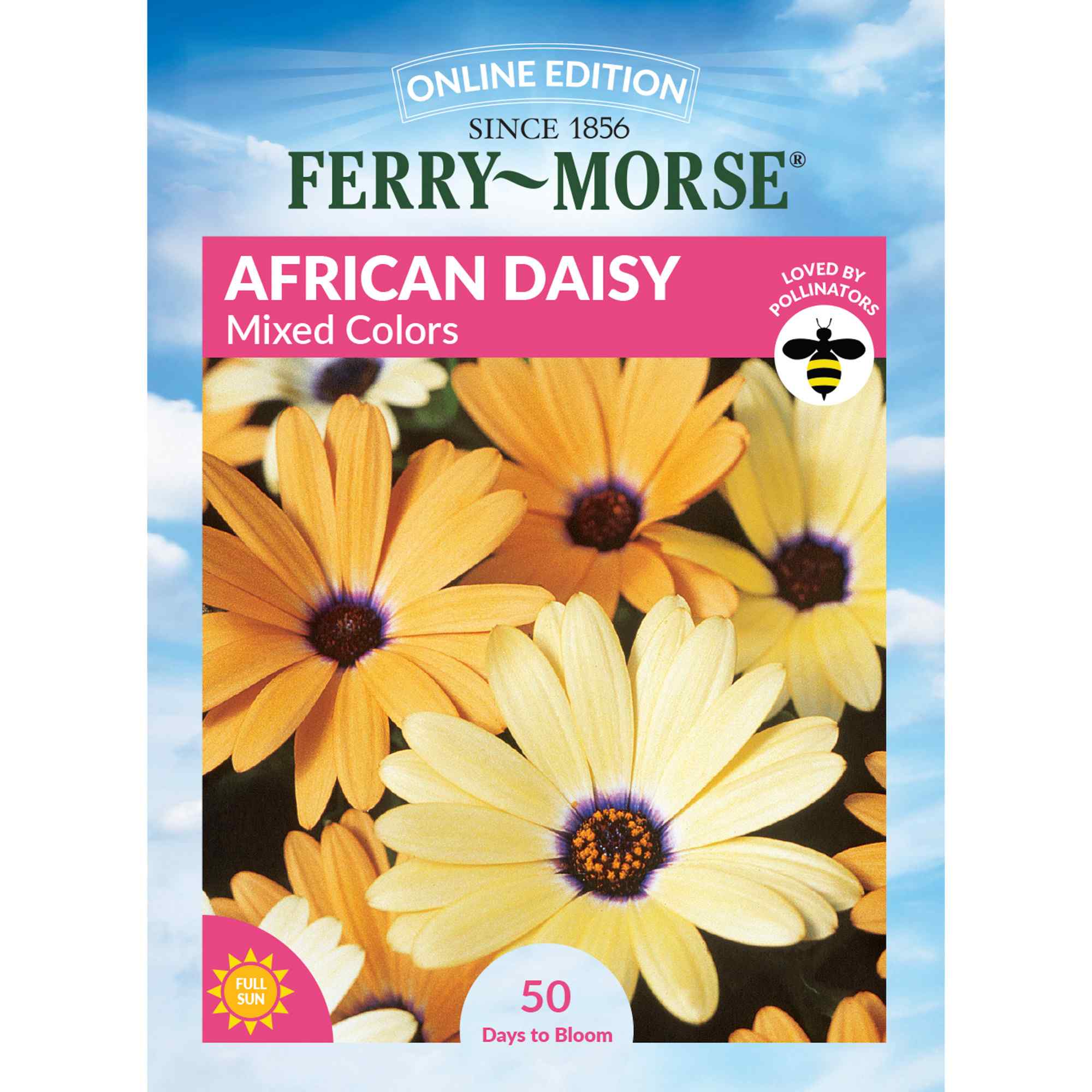 Ferry-Morse LC25.5031 African Daisy Seeds 400 Milligram(s)
