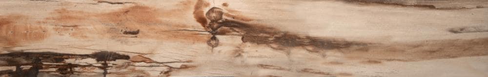 Emser F02MODEEL0635 Modena 6-Pack Elm 6-in x 36-in Glazed Porcelain Wood Look Floor and Wall Tile