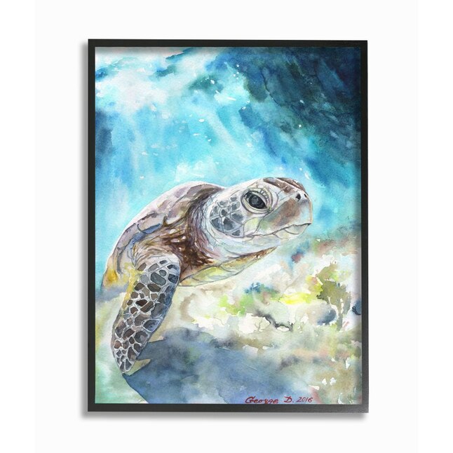 Stupell Industries Sea Turtle Ocean Animal Blue Watercolor Painting George  Dyachenko Framed 20-in H x 16-in W Animals Wood Print in the Wall Art  department at 