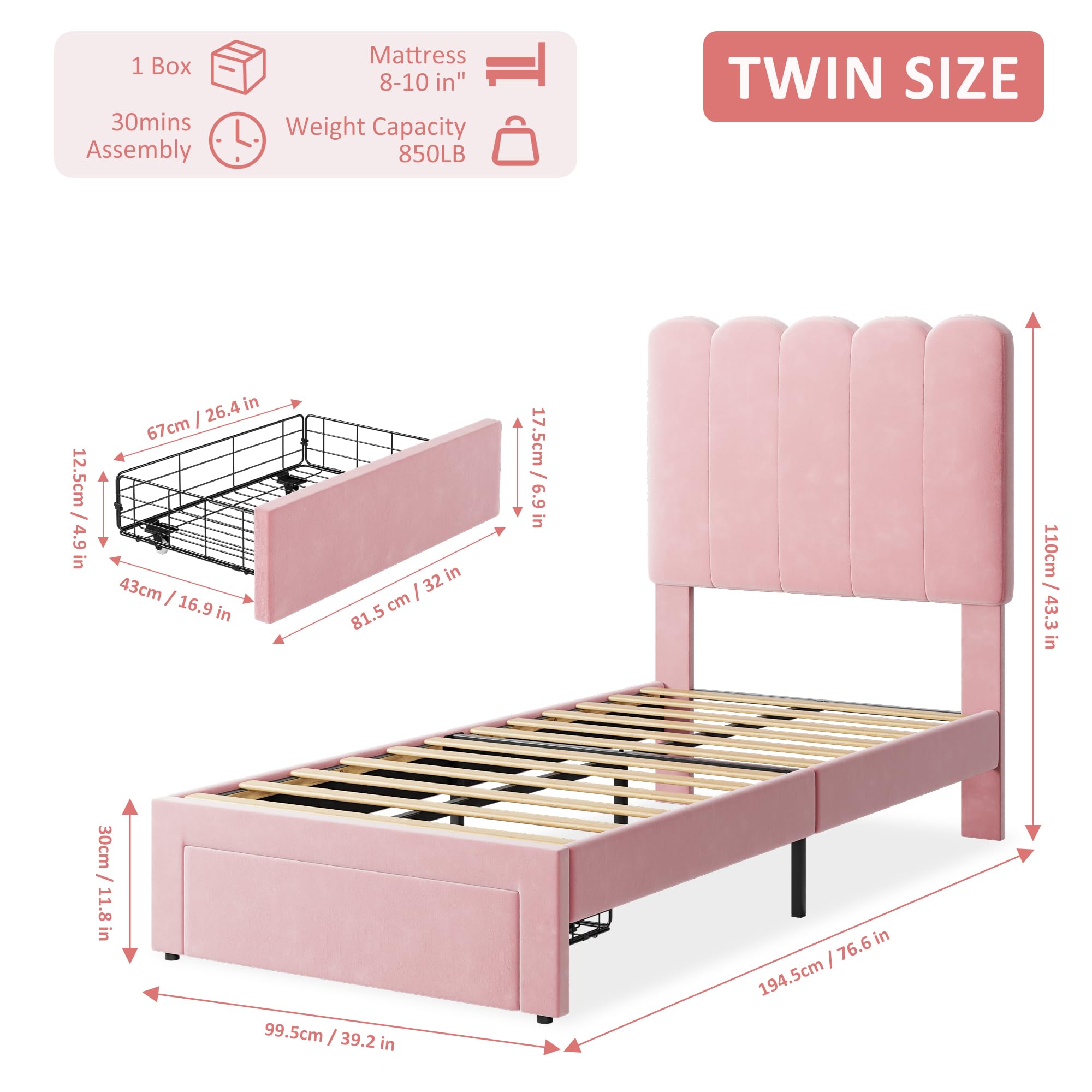 DEXSO ENCOREPHOBA10873 beds - View #2