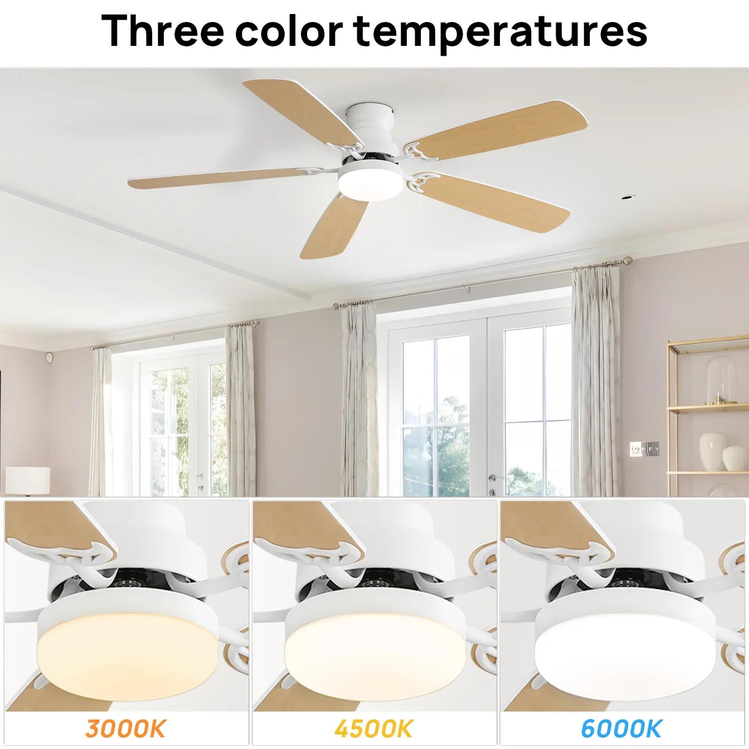 Bayfeve BFKS-46291-CF Ceiling-Fans - View #10