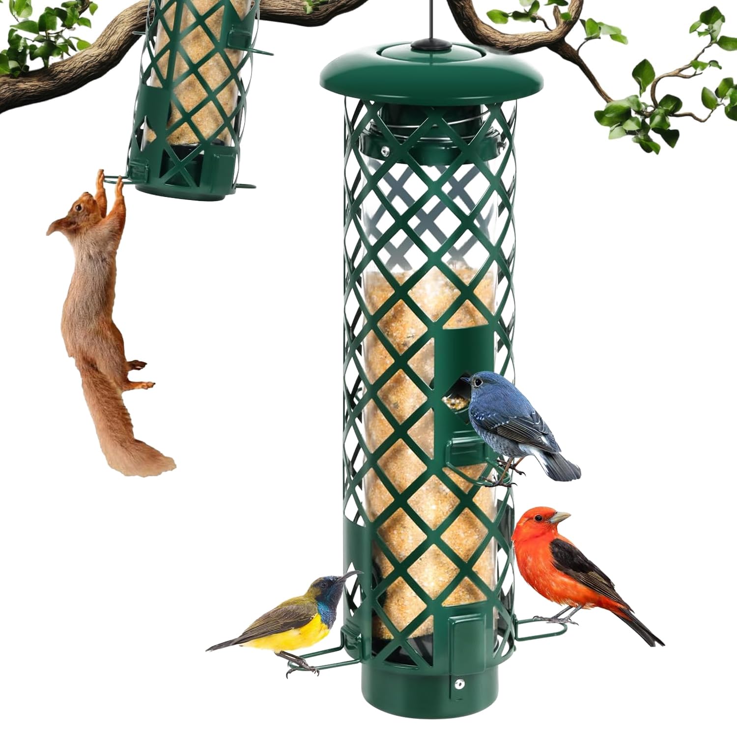 Adrinfly -  Squirrel Proof Bird Feeder Outdoor Metal 3LB Capacity Weight Activated Perches 4 Port...