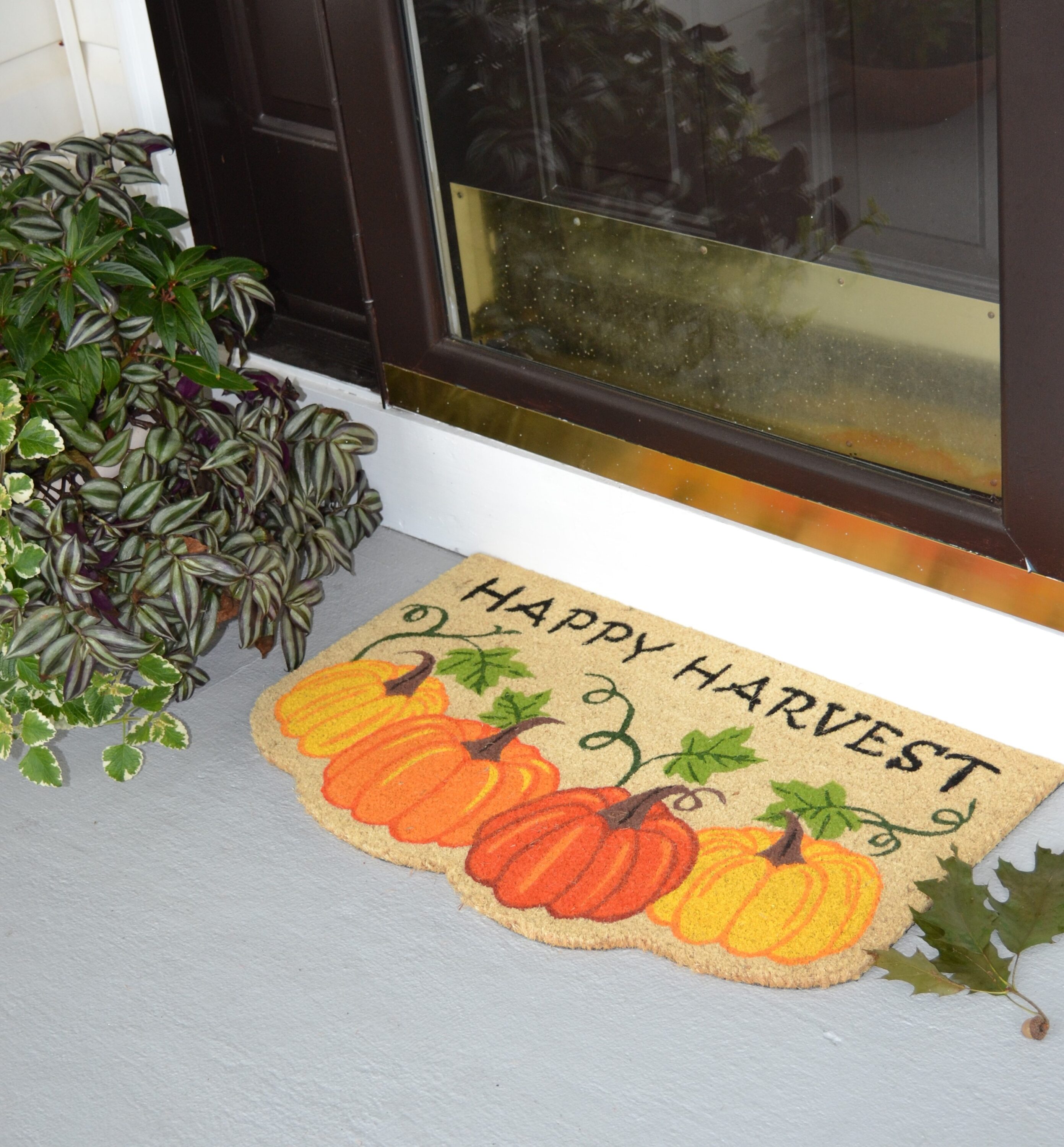 Imports Decor 593PVC Mats-Cat - View #2