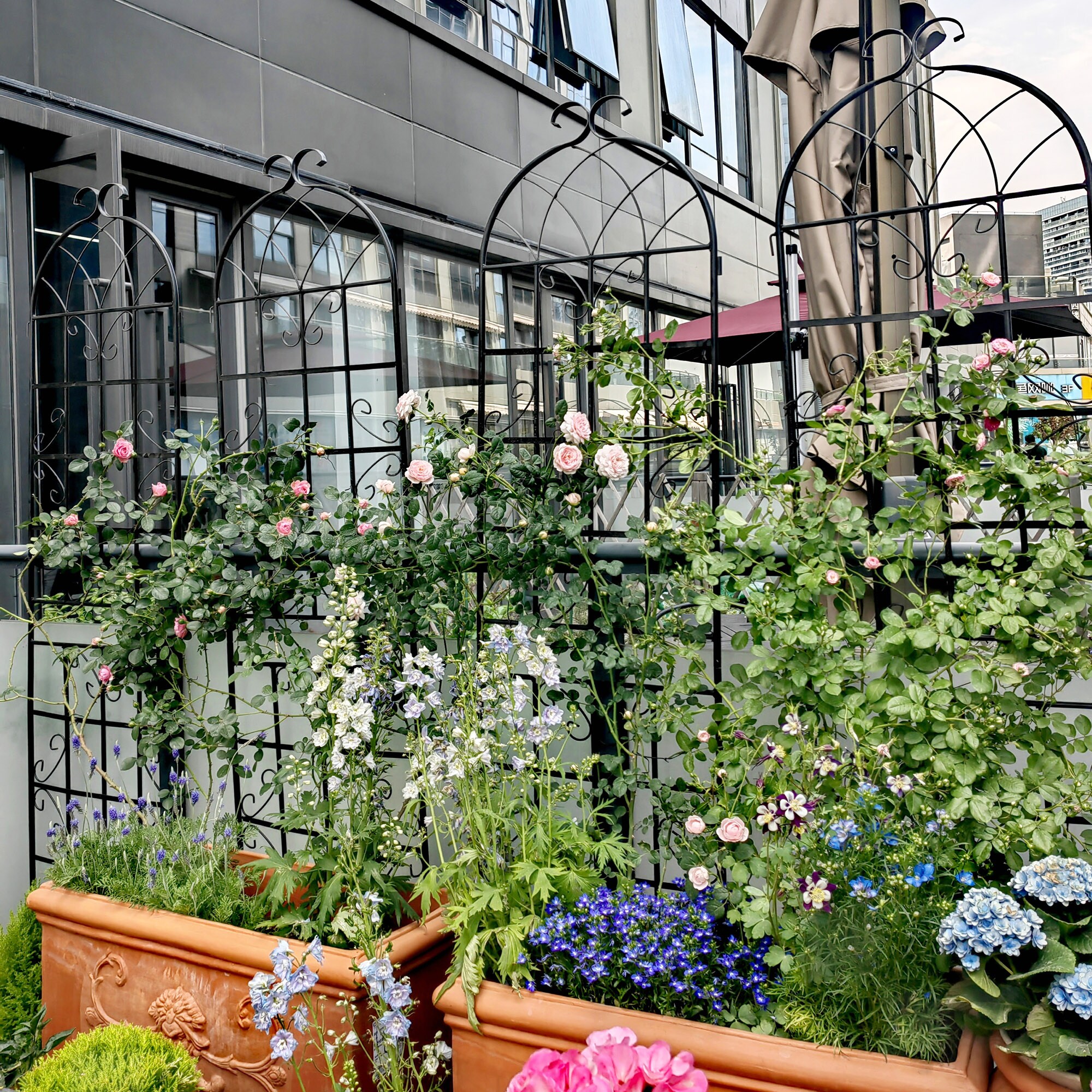 ToolCat NGG29-4-TTX Garden-Trellis - View #7