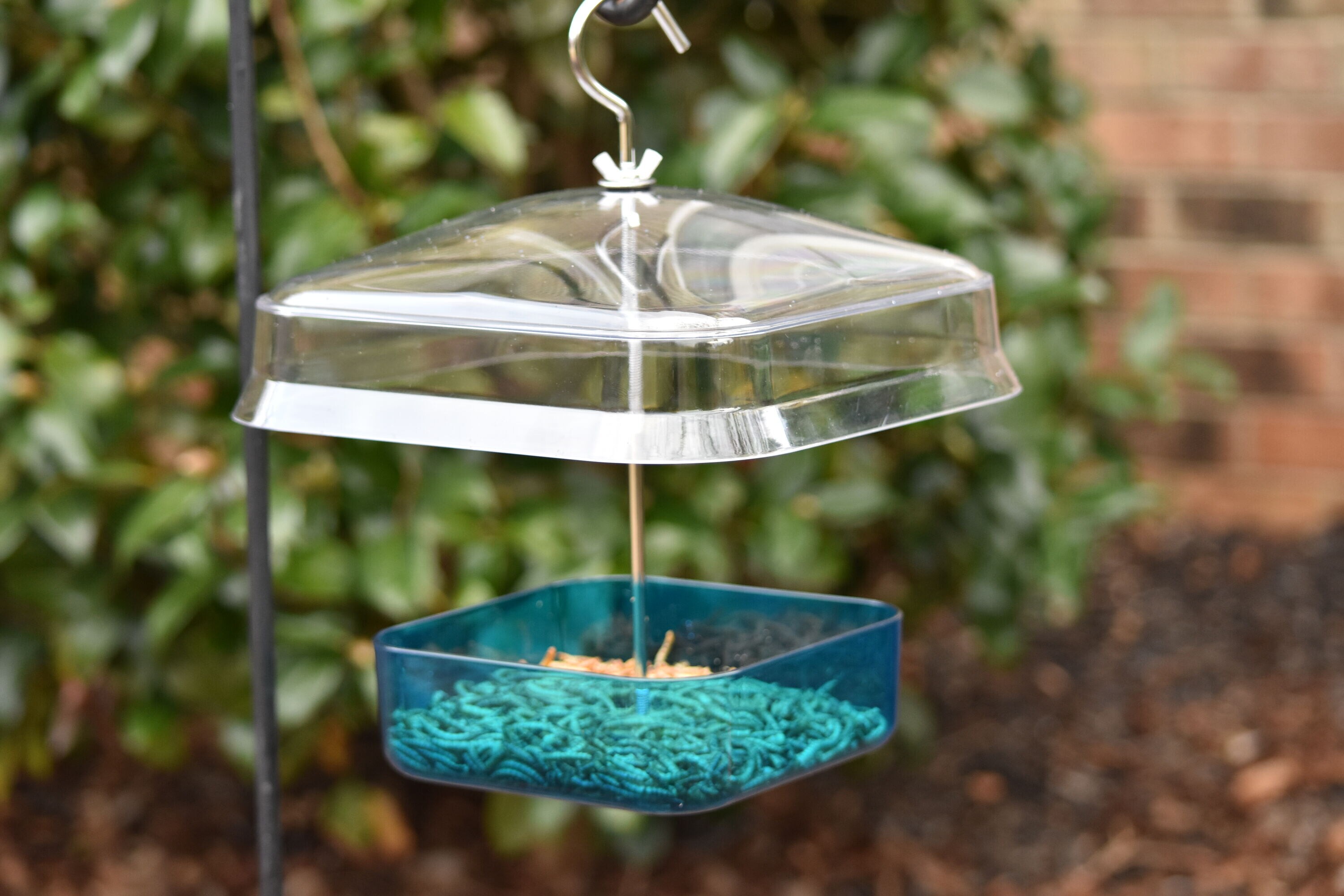 Backyard Glory 01-197-30 Bird-Feeders - View #6