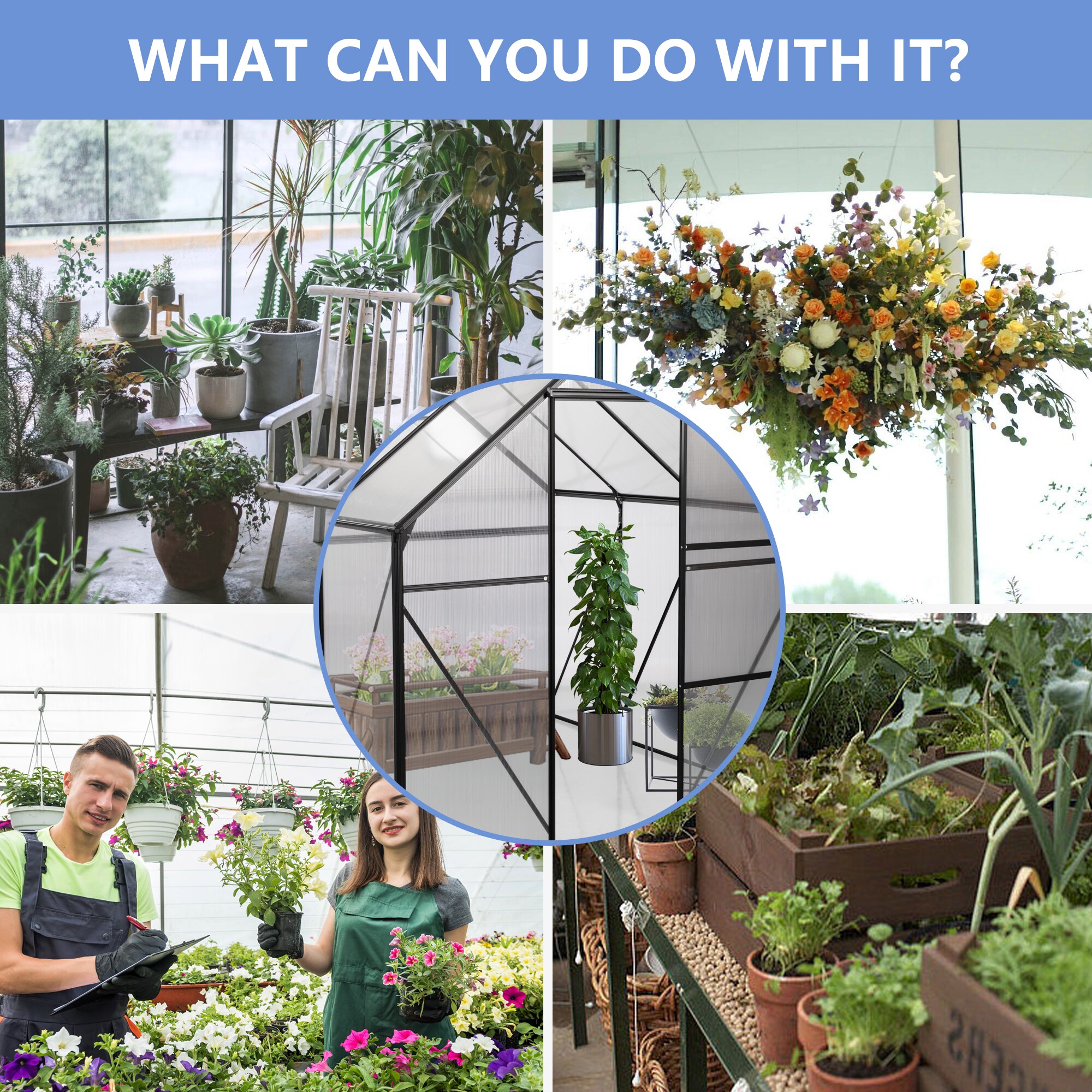 Kahomvis WWC-2QP211-05 greenhouses - View #7
