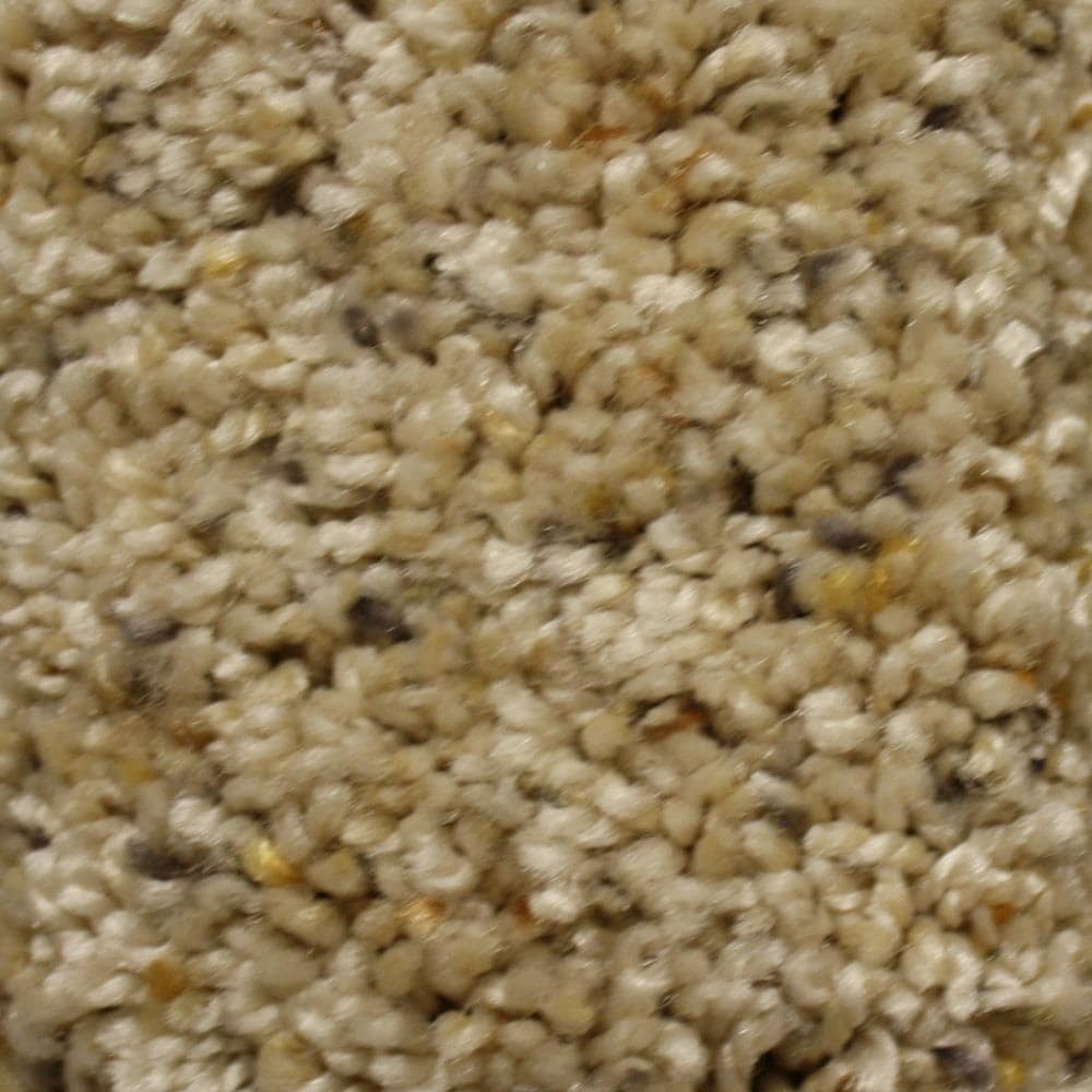STAINMASTER S7167-713T-1200-AB (Sample) Essentials Summer Key Role Textured Carpet