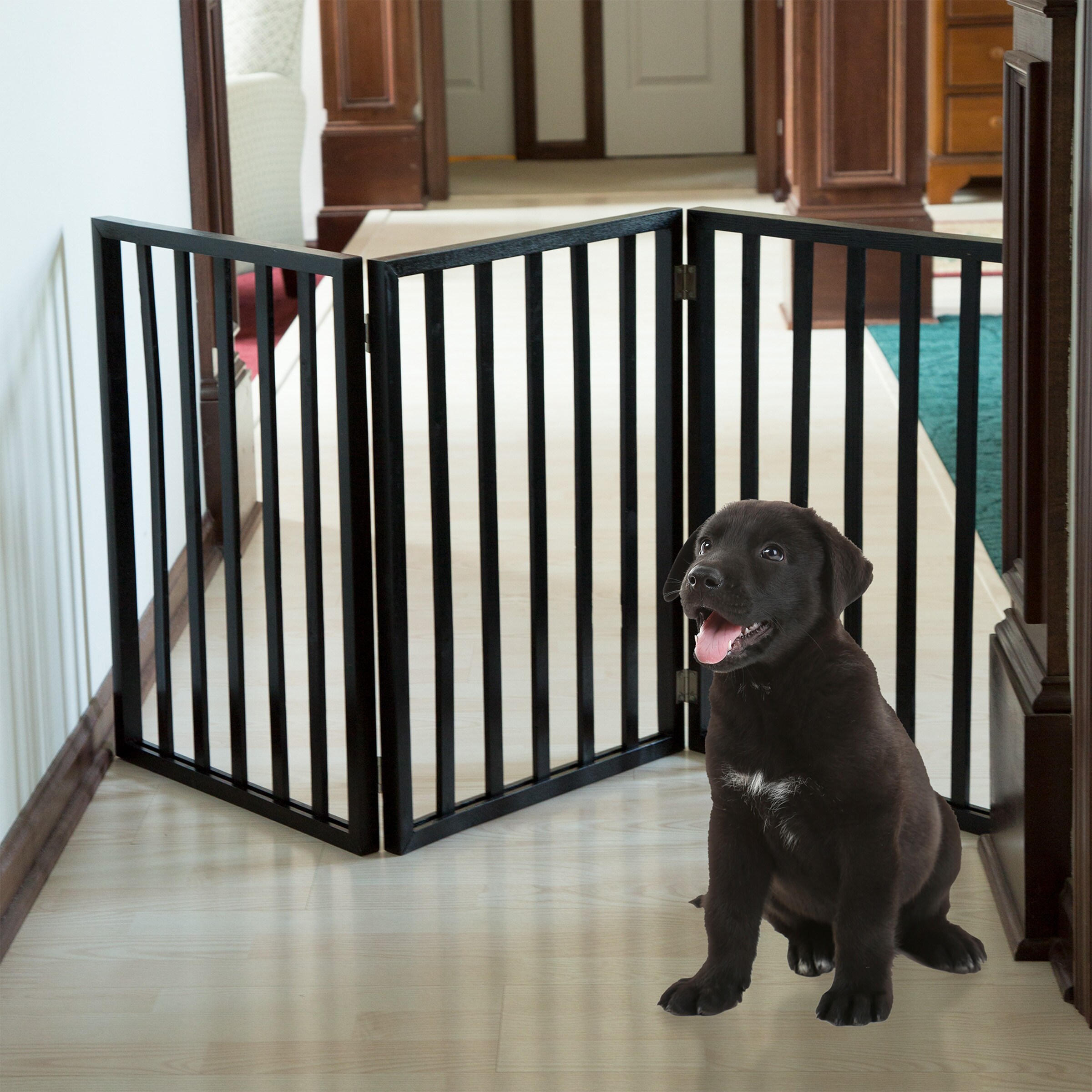 Black Pet Gates at Lowes