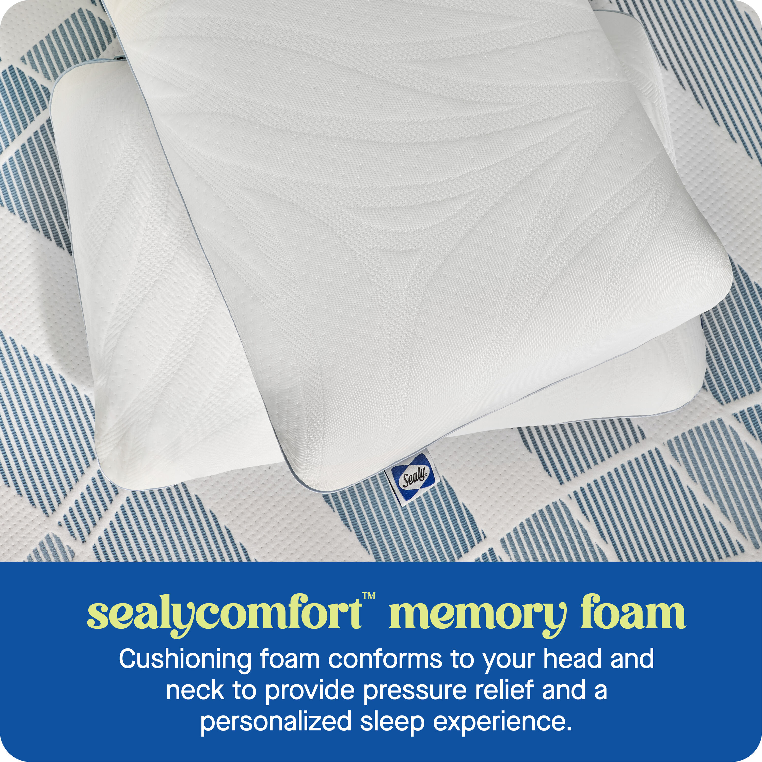 Sealy F01-00850-ST0 Bed-Pillows - View #8