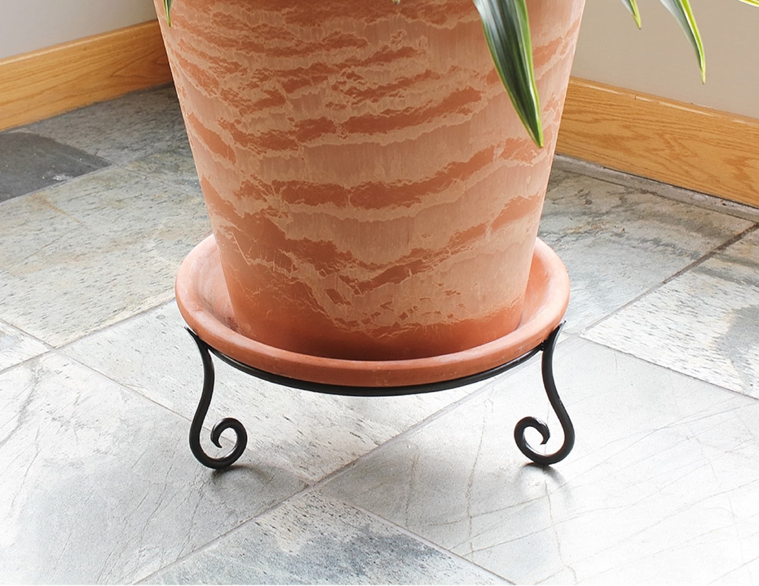 Black Wrought Iron Short Plant Stand with Curled Feet