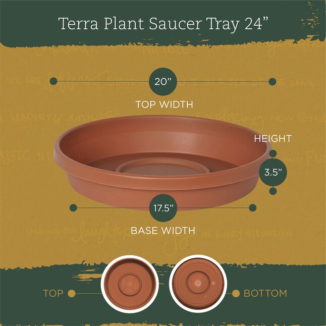 Bloem 20-in Terra Cotta Plastic Plant Saucer in the Plant Saucers ...